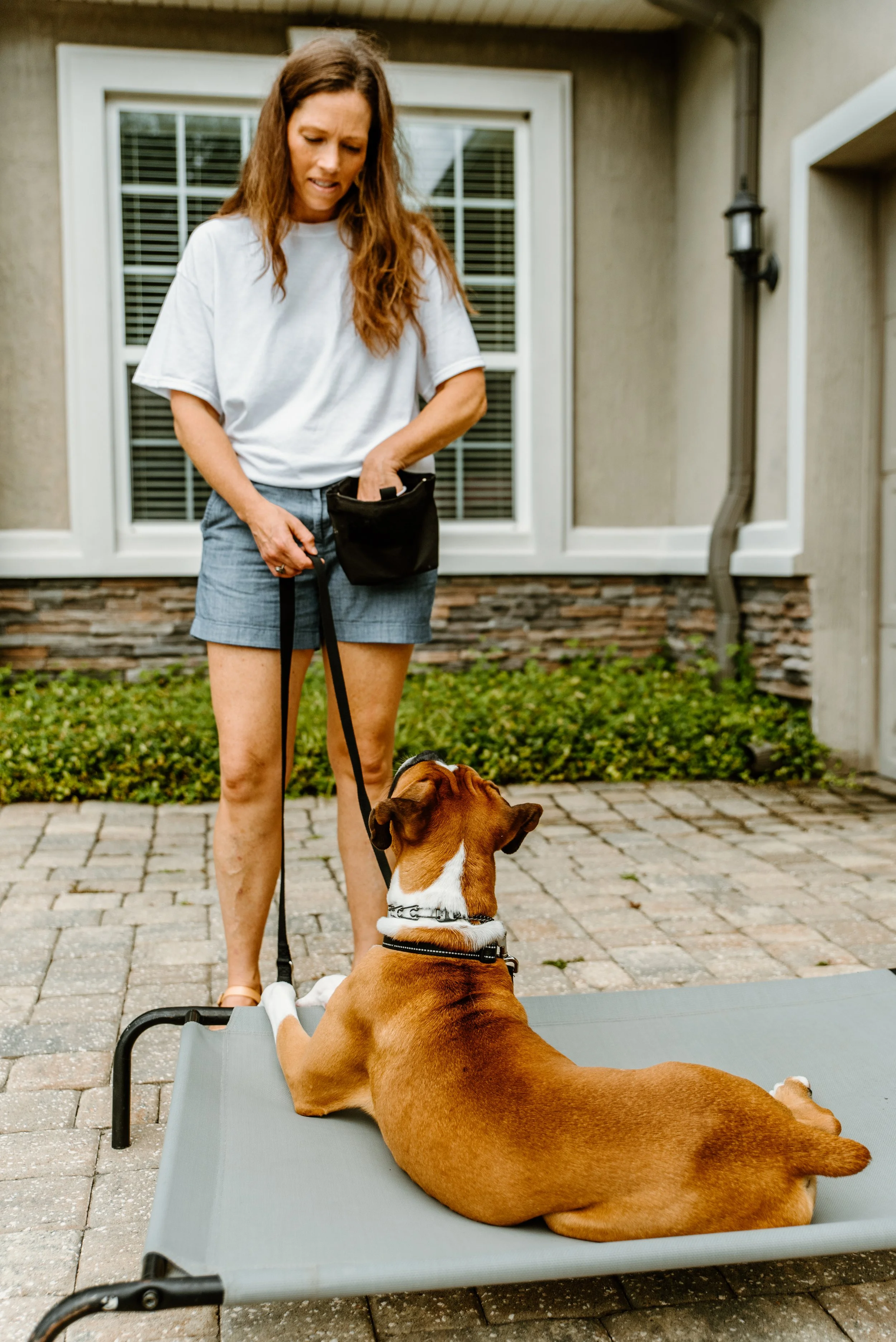 A woman with long, wavy, brown hair standing outside on a brick patio, looking down at a large, lounging brown and white dog on a raised dog bed. The woman is wearing a white t-shirt, blue shorts, and a small black pouch attached to her waist. The dog is wearing a collar and looking up at her.
