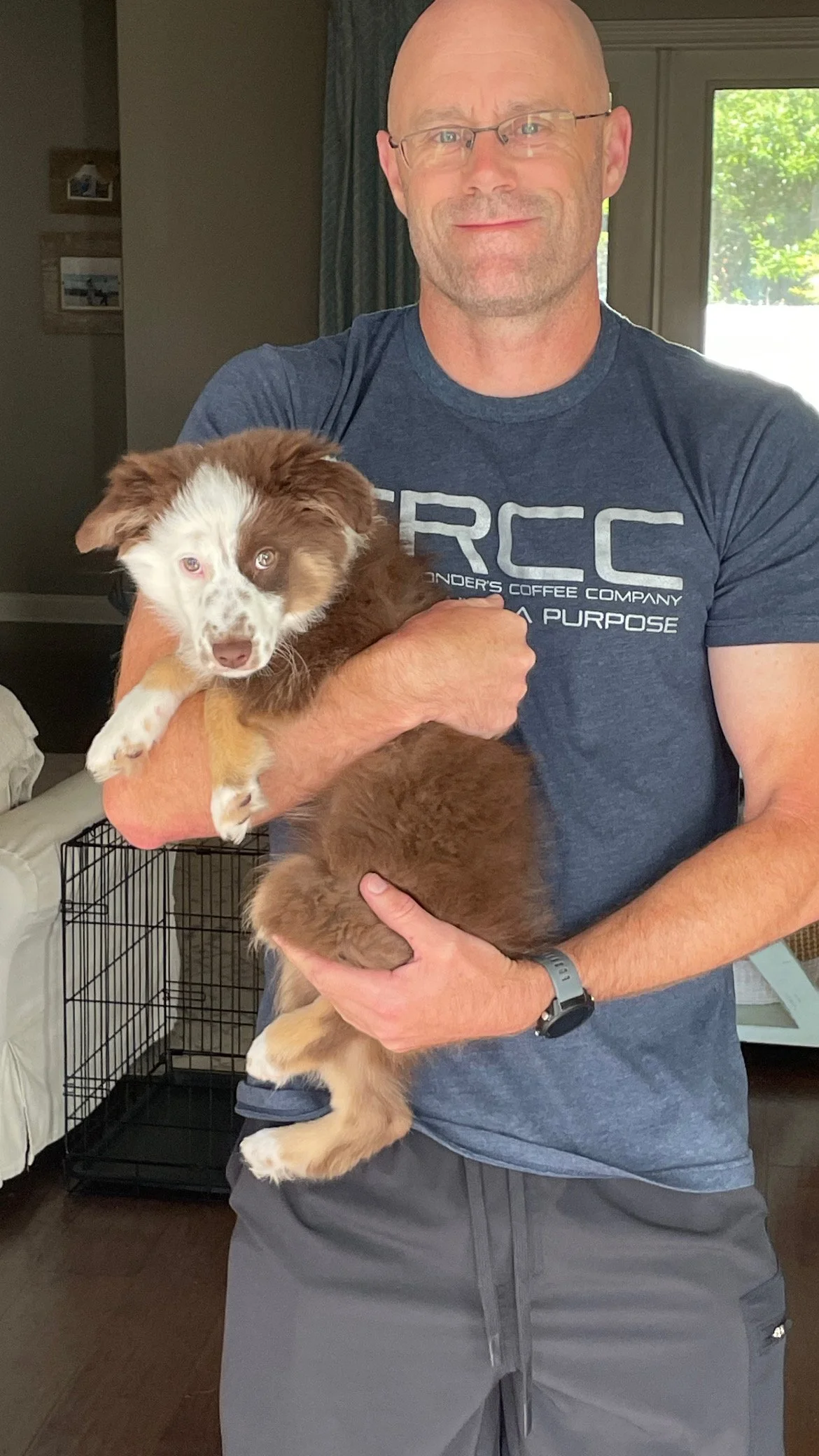 A man holding a brown and white Australian Shepherd puppy indoors, with a window showing greenery outside in the background.