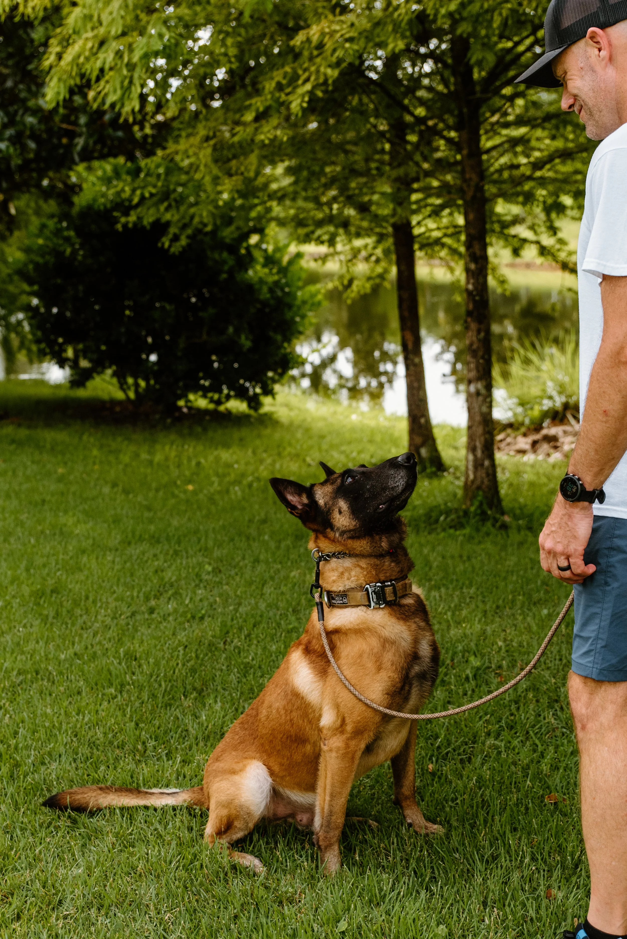 A man wearing a white T-shirt, blue shorts, a black cap, and a watch stands outdoors on a grassy area near a calm pond, holding a leash attached to a sitting Belgian Malinois dog that is looking up at him. Behind them are trees and bushes.