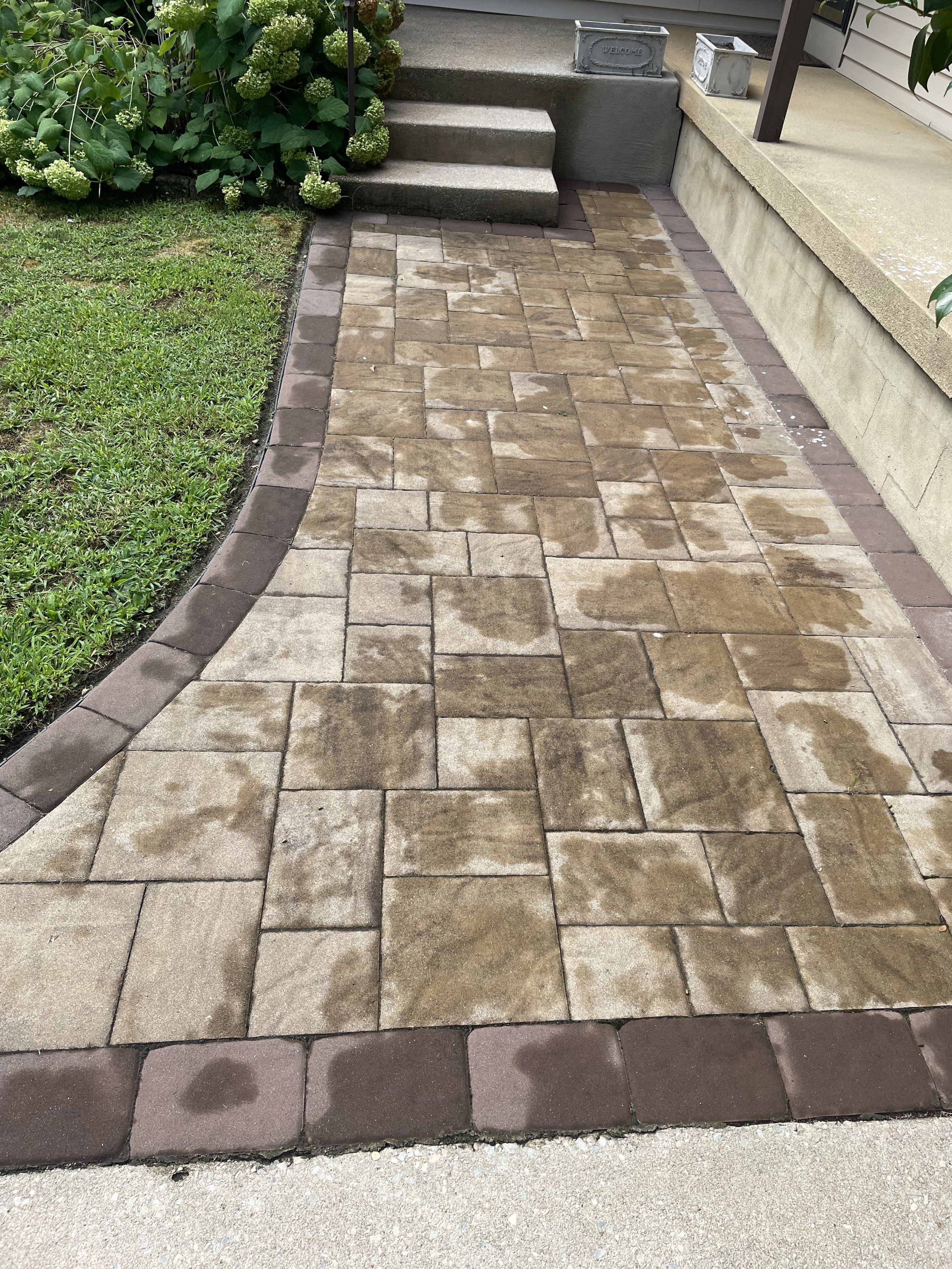 Stone pathway leading to house steps, bordered by a garden with green plants and hydrangeas.