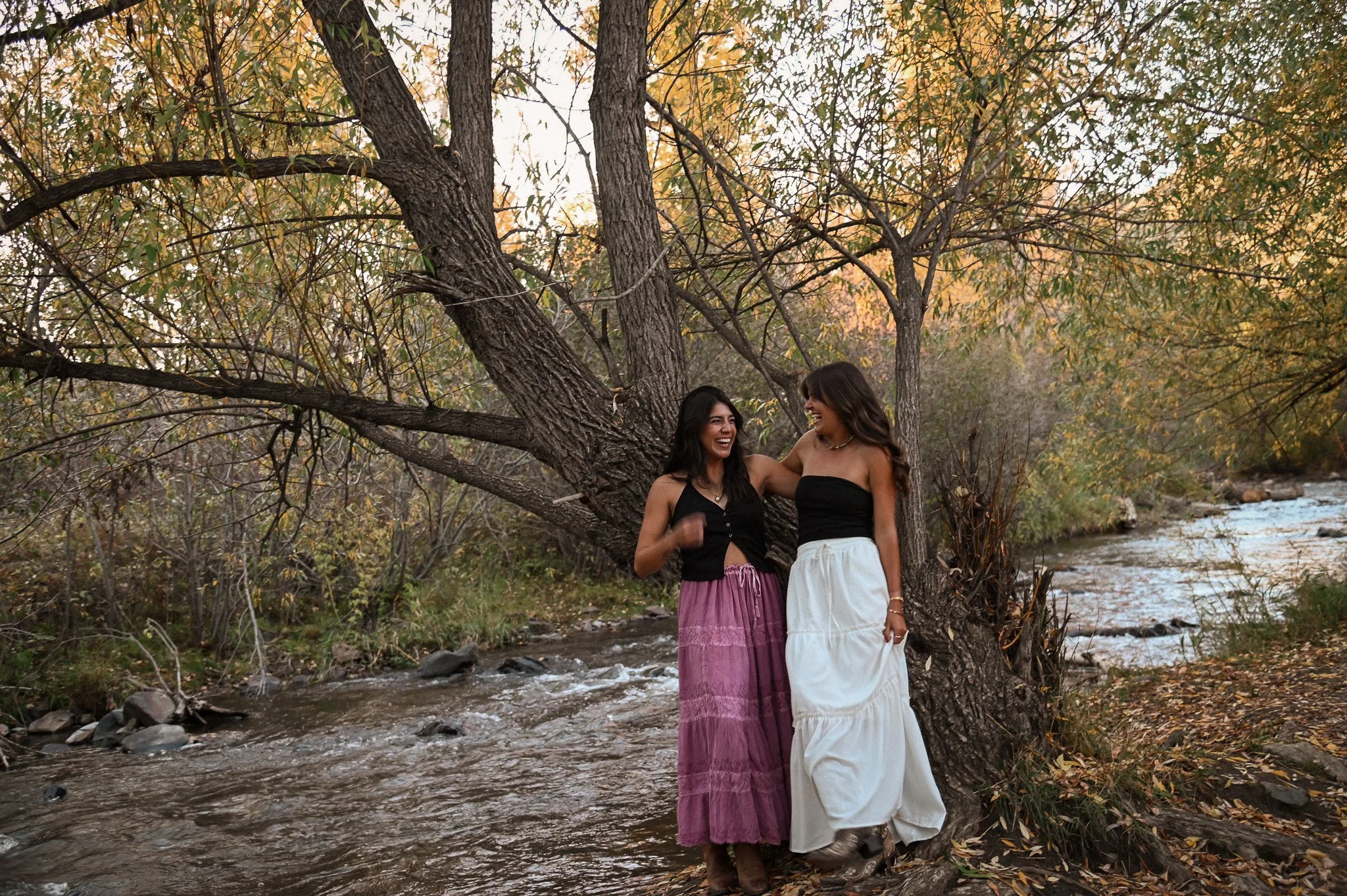 Favorites - 53 of 438.jpg