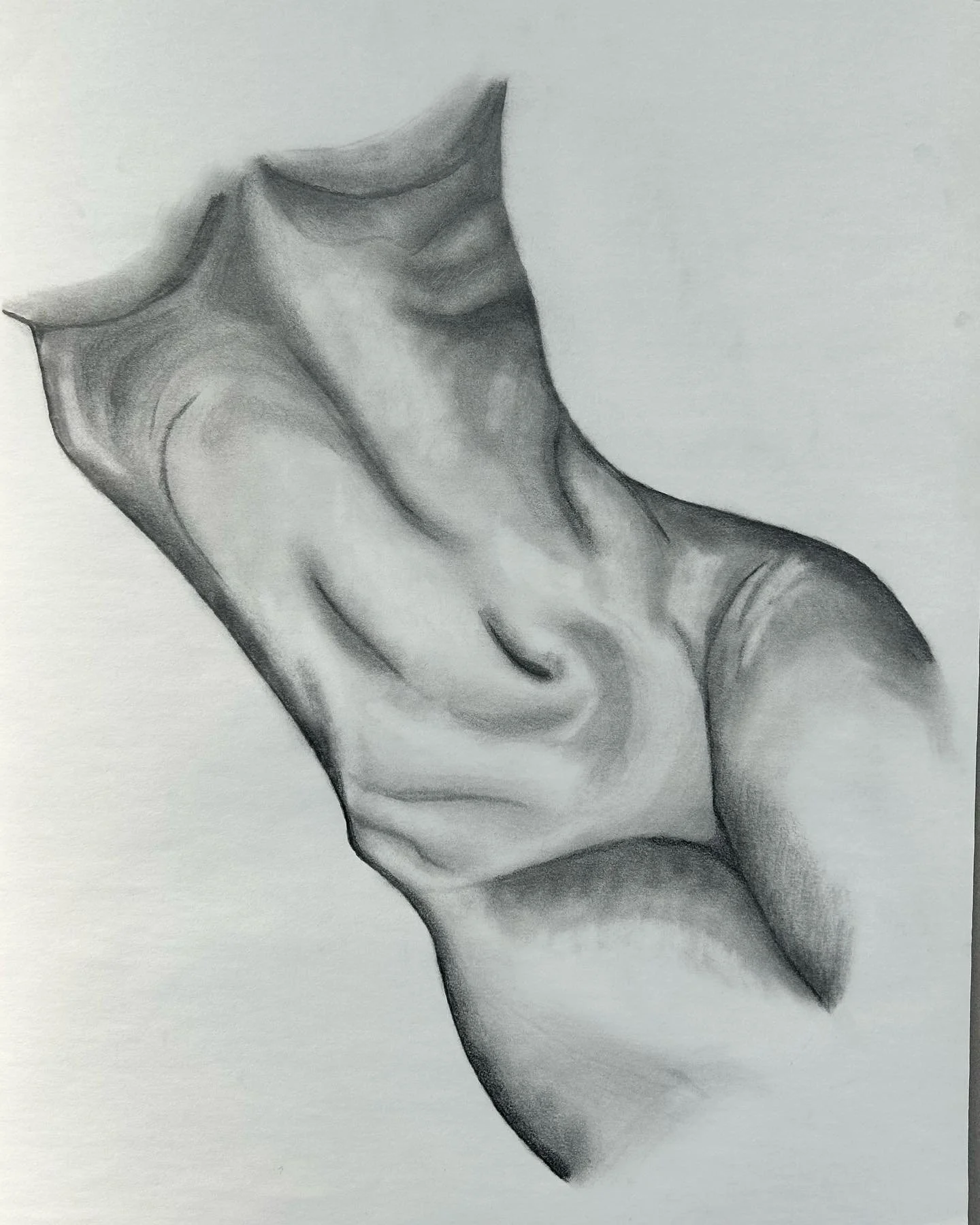 recent collection, 18x24 graphite drawings