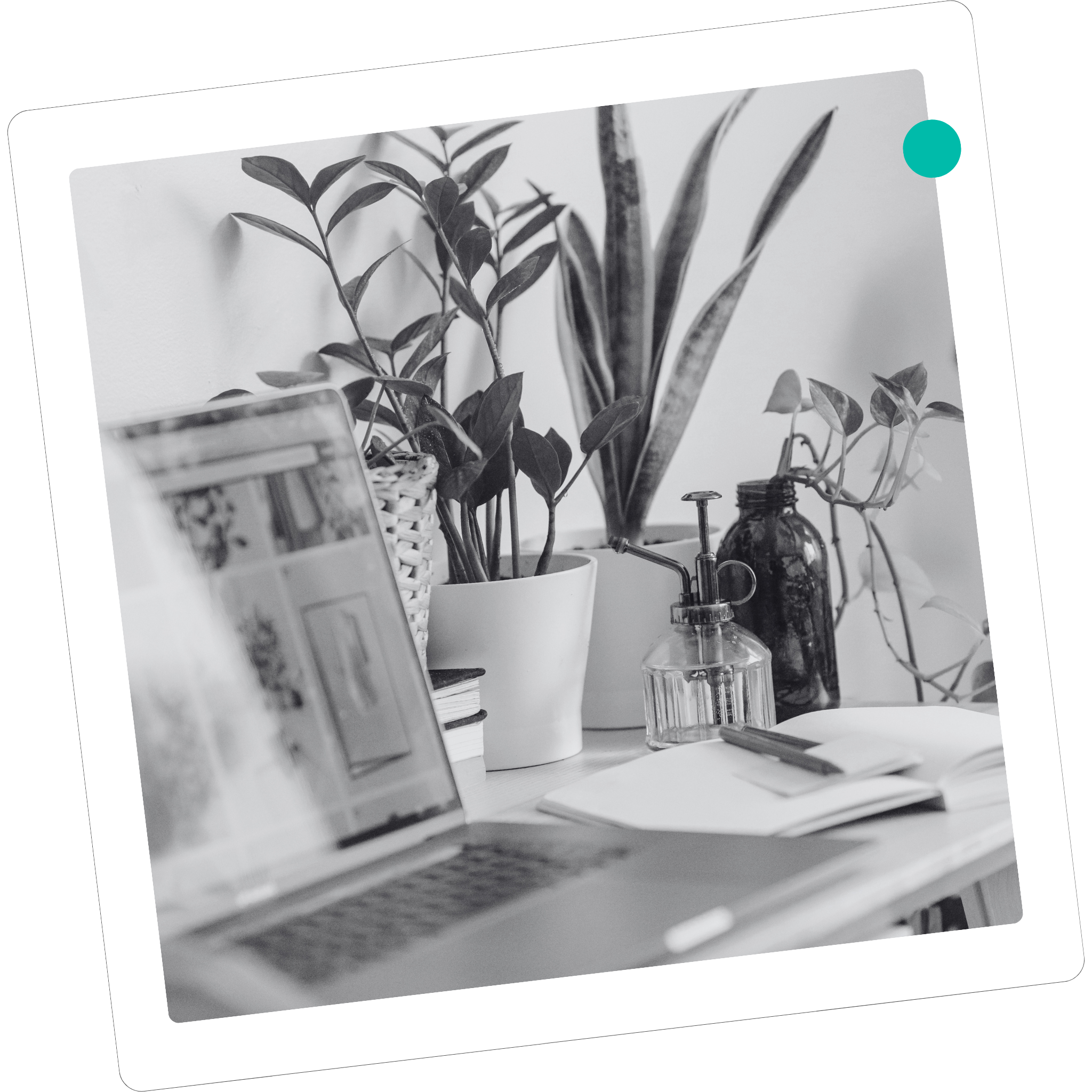 Black and white photo of a desk with various plants in pots, a glass spray bottle, a notebook, and other office supplies.