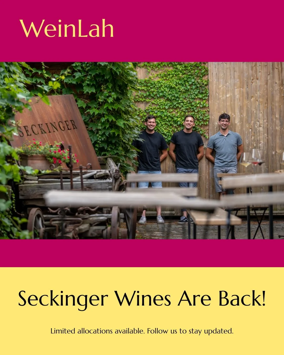Seckinger Wines are returning to Singapore this early December.

Produced in the heart of the Pfalz, these biodynamic wines reflect a living vineyard ecosystem&mdash;healthy soils, spontaneous fermentations, and minimal intervention. Each bottle capt
