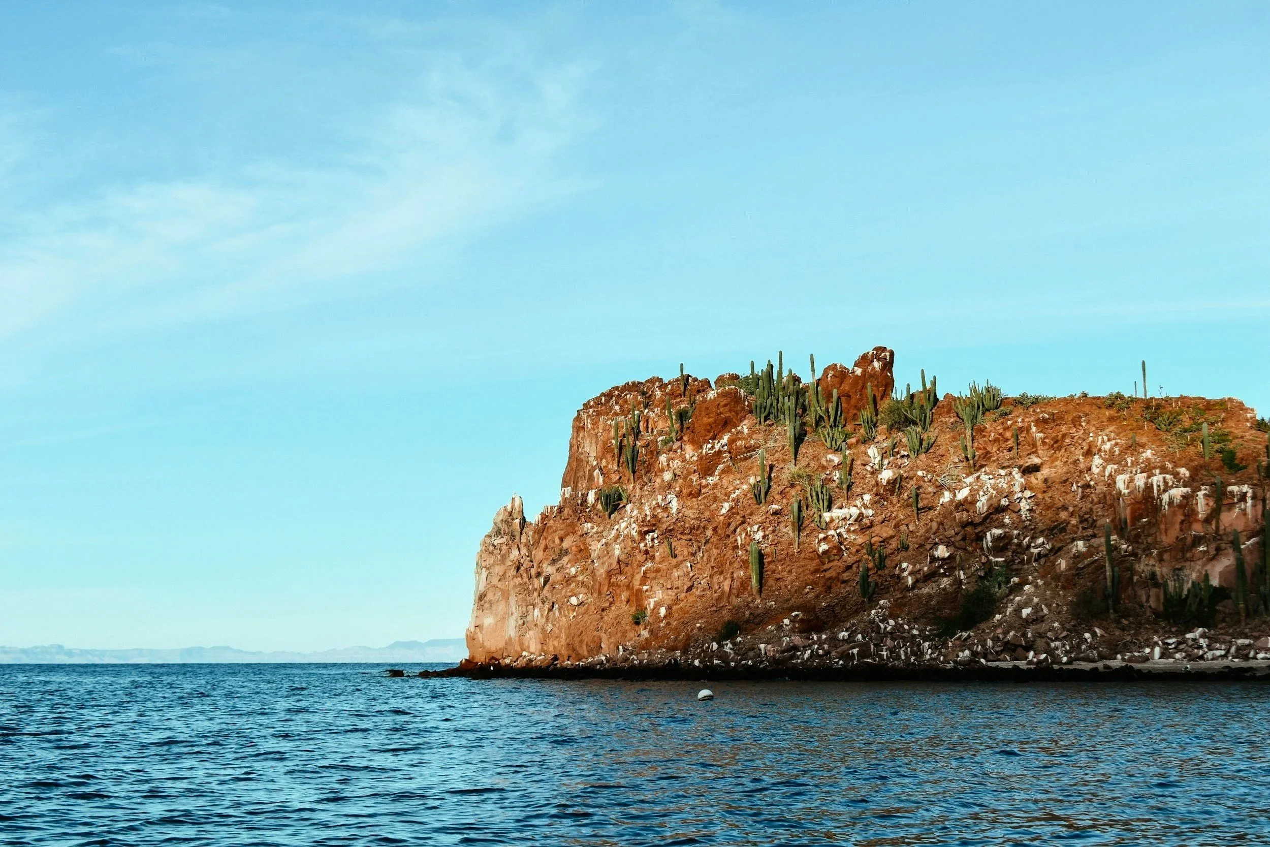 A large rocky cliff with sparse cacti beside a body of water under a blue sky.