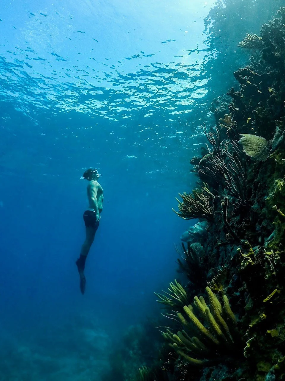 A person snorkeling underwater near a coral reef with sunlight streaming from above.