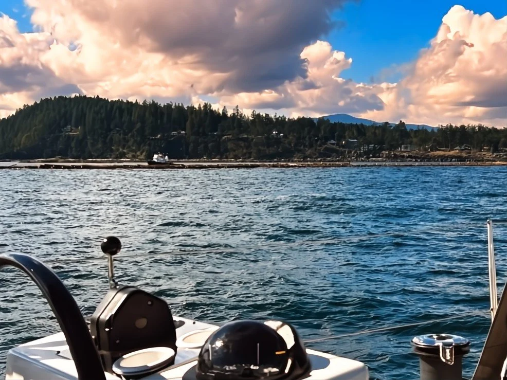 View from a boat on a lake, showing water, distant shoreline with trees, mountains, and partly cloudy sky.