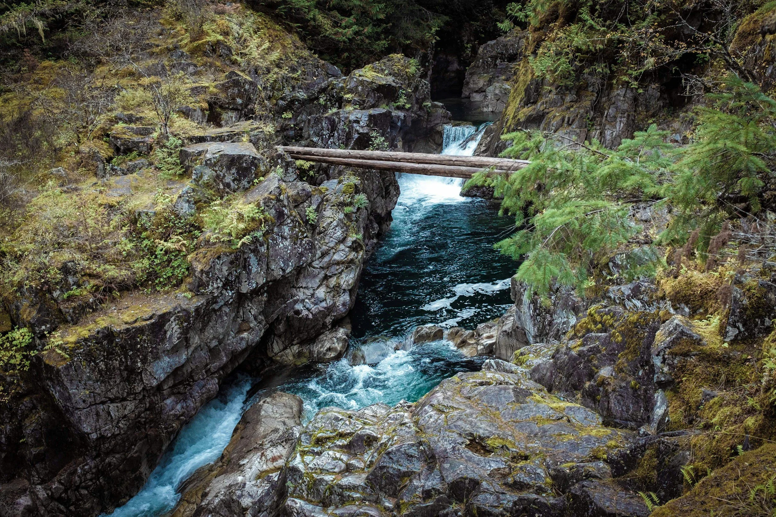 A rocky canyon with a rushing river and a wooden log bridge across the water, surrounded by lush green trees and moss-covered rocks in Vancouver Island, BC, Canada.