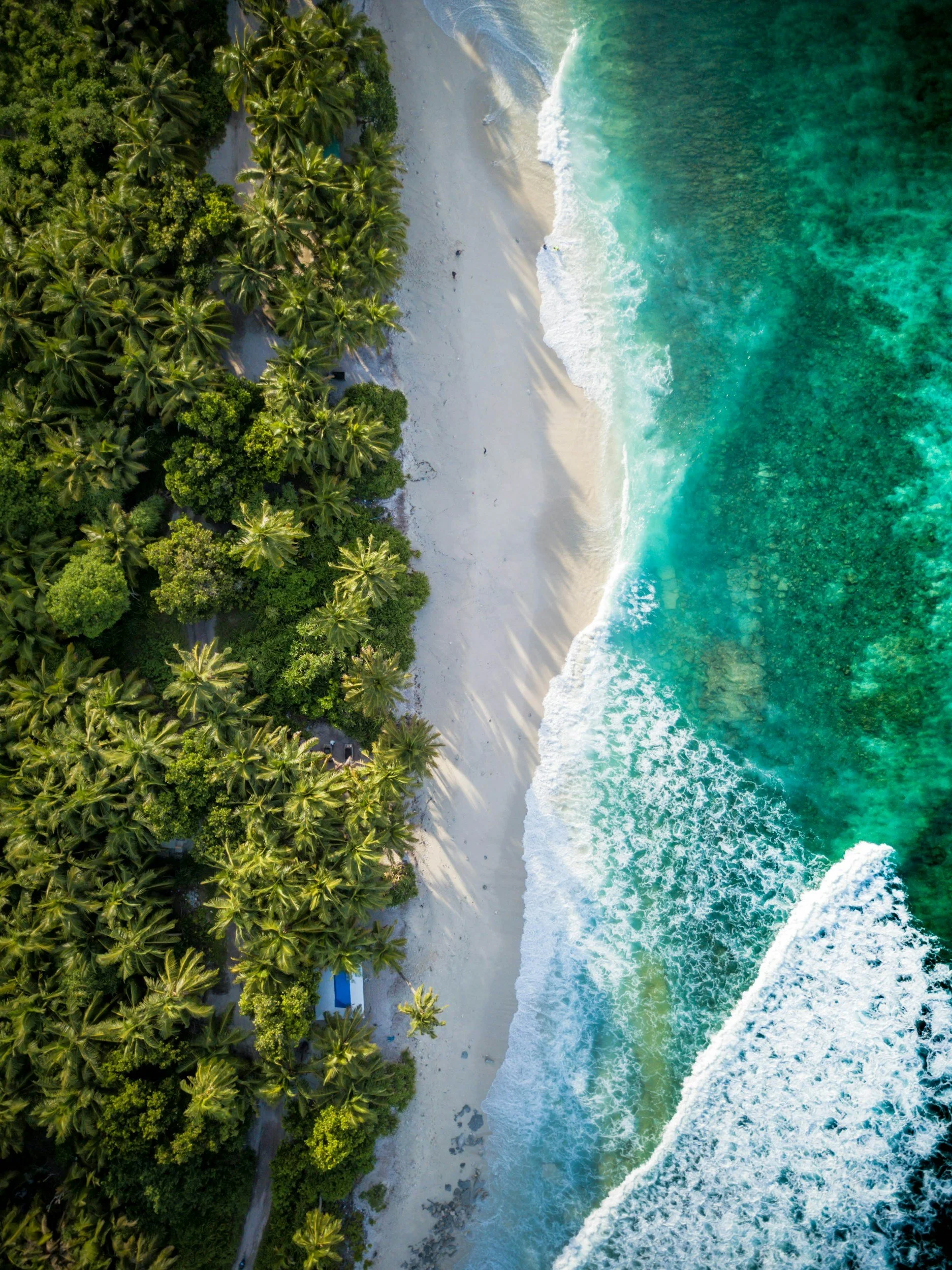 aerial view of a tropical beach with palm trees on the left and ocean waves crashing onto the white sandy shoreline on the right.