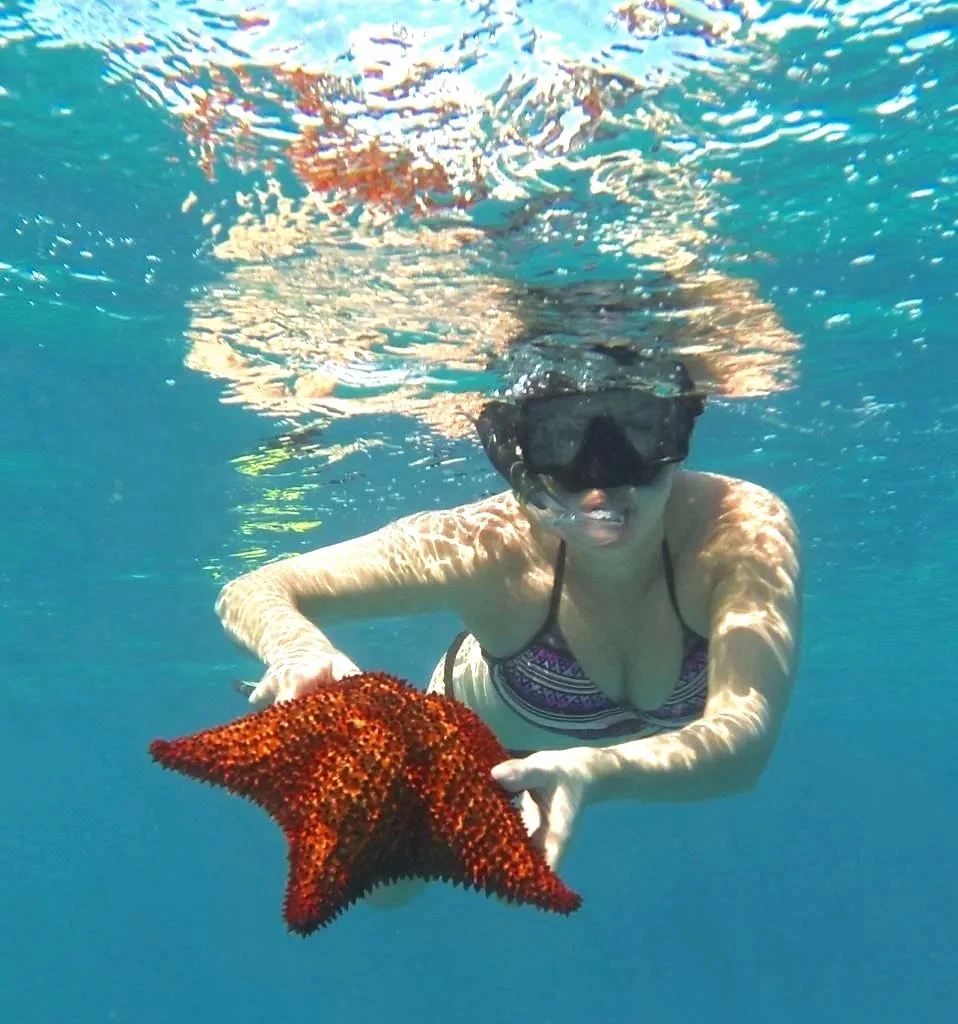 A woman snorkeling underwater in a striped swimsuit, holding a red starfish.