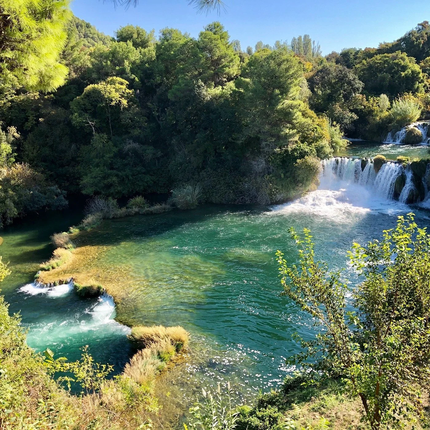 A scenic view of a flowing river with small waterfalls surrounded by lush green trees and vegetation under a clear blue sky.