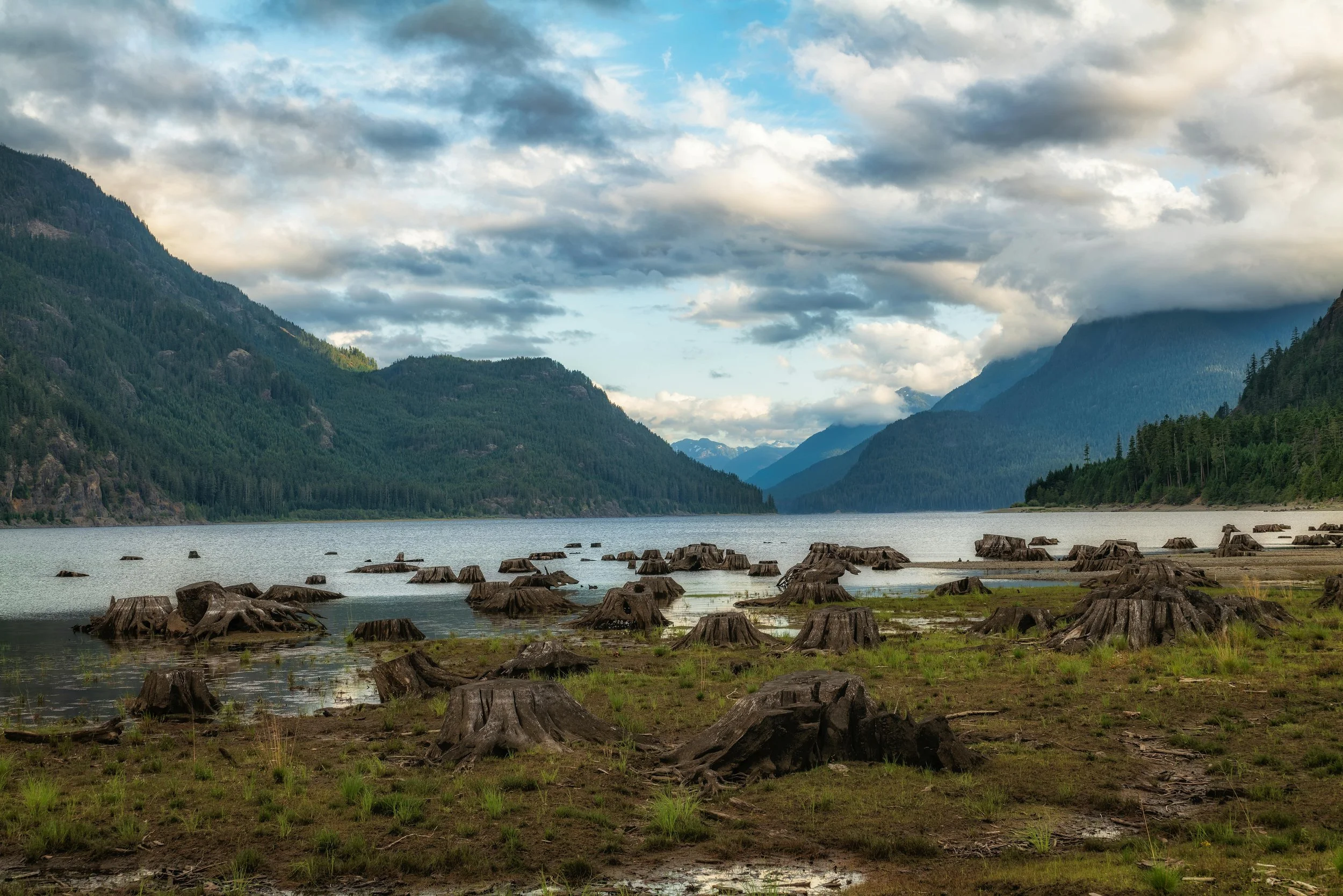 A scenic view of a lake surrounded by mountains with forests, and tree stumps along the shore, under a cloudy sky.