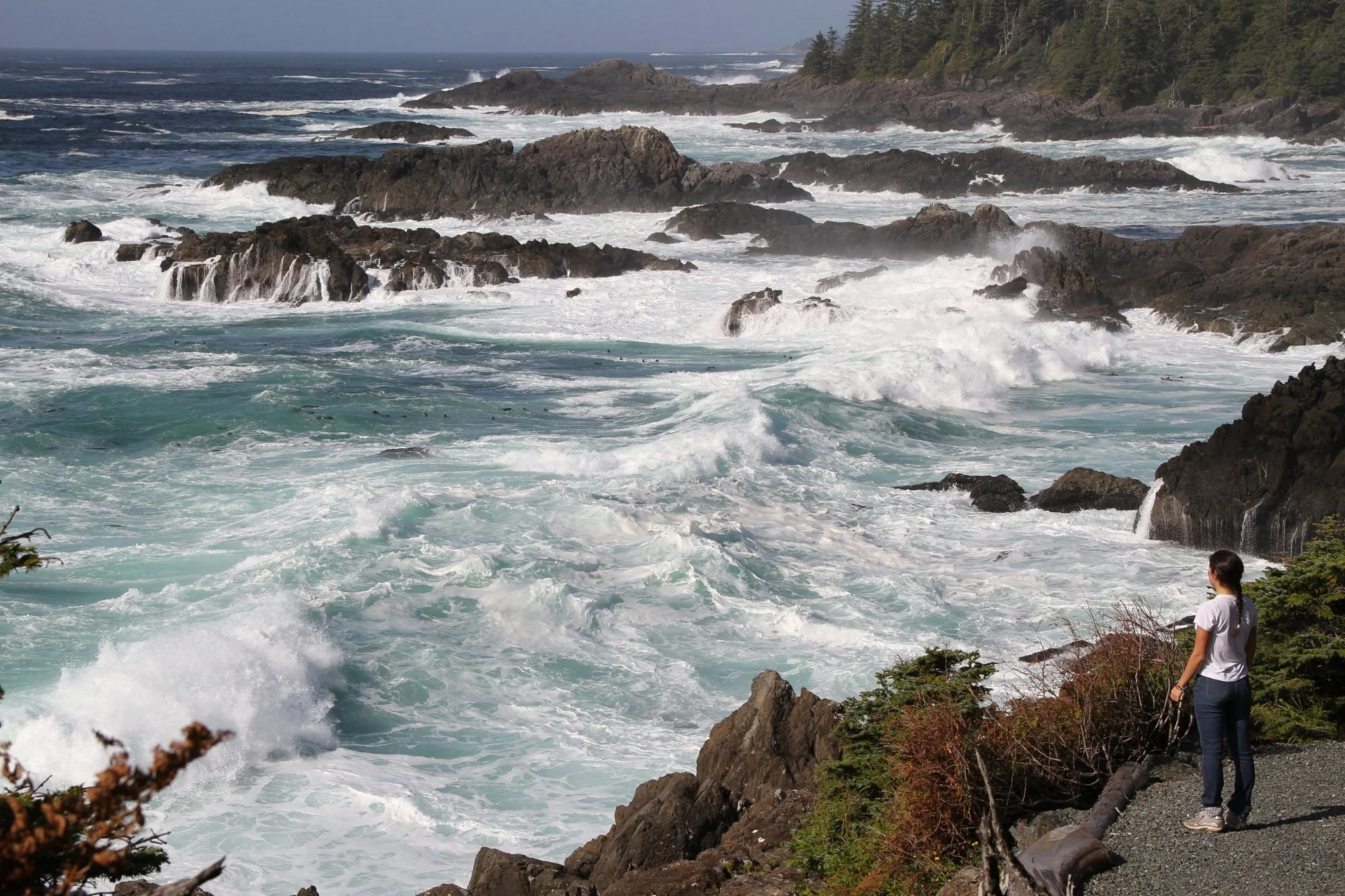 A woman stands on a rocky coastline, looking out over rough ocean waves crashing against rocks.