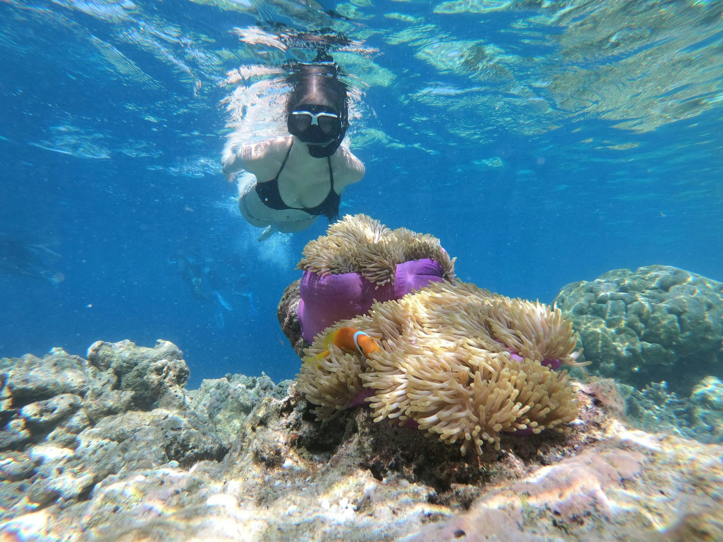 A person wearing a snorkel mask and swimwear glides underwater near a coral reef with a clownfish among anemones, with clear blue ocean water and rocks in the background.