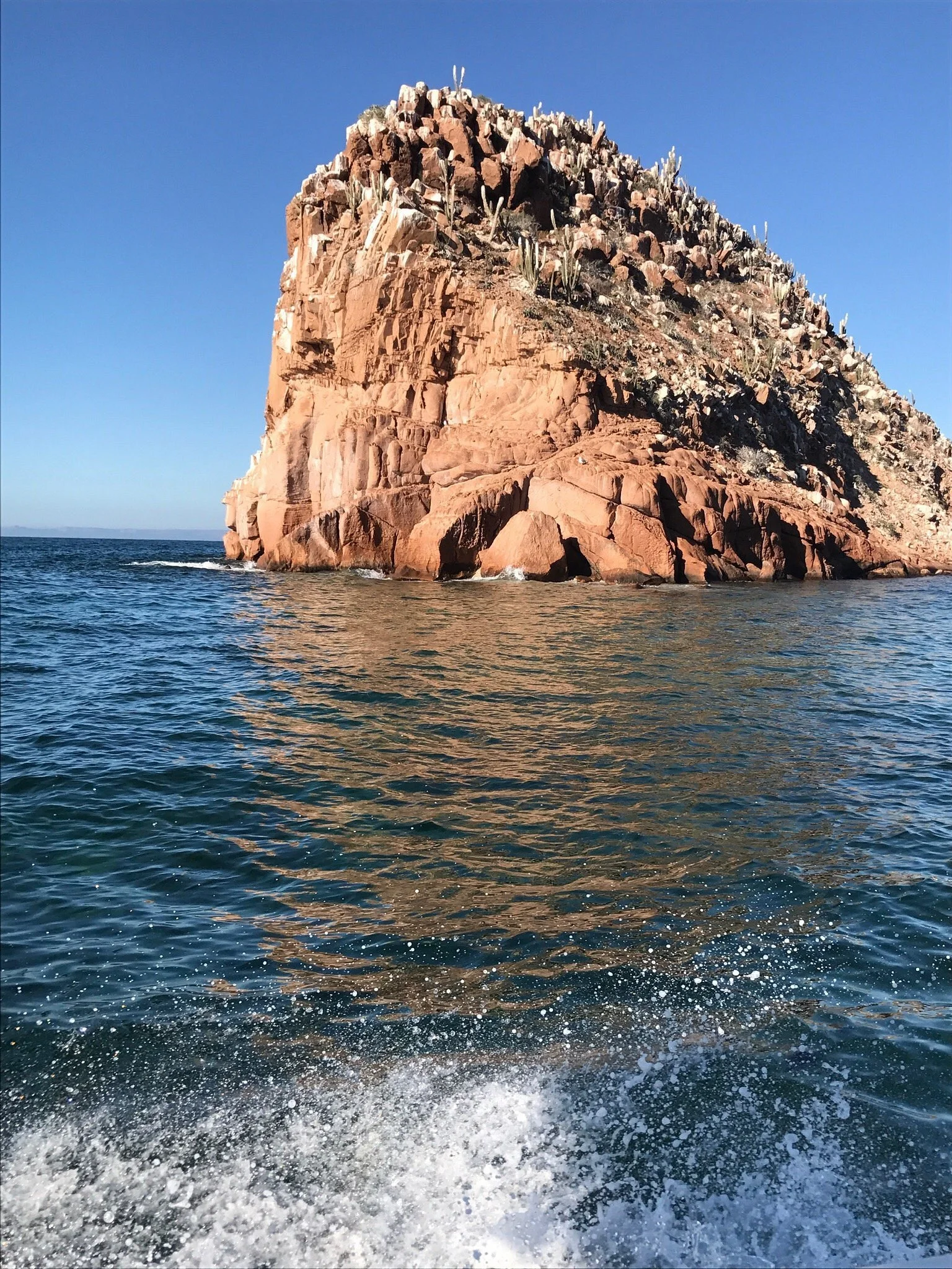A large red rock formation in the ocean with cacti growing on top, under a clear blue sky.