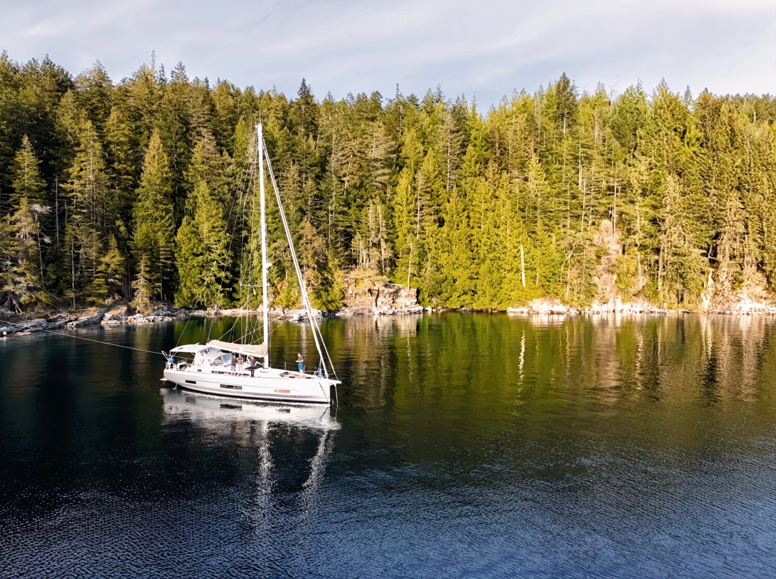 A sailboat on calm water near a forested shoreline on a sunny day.