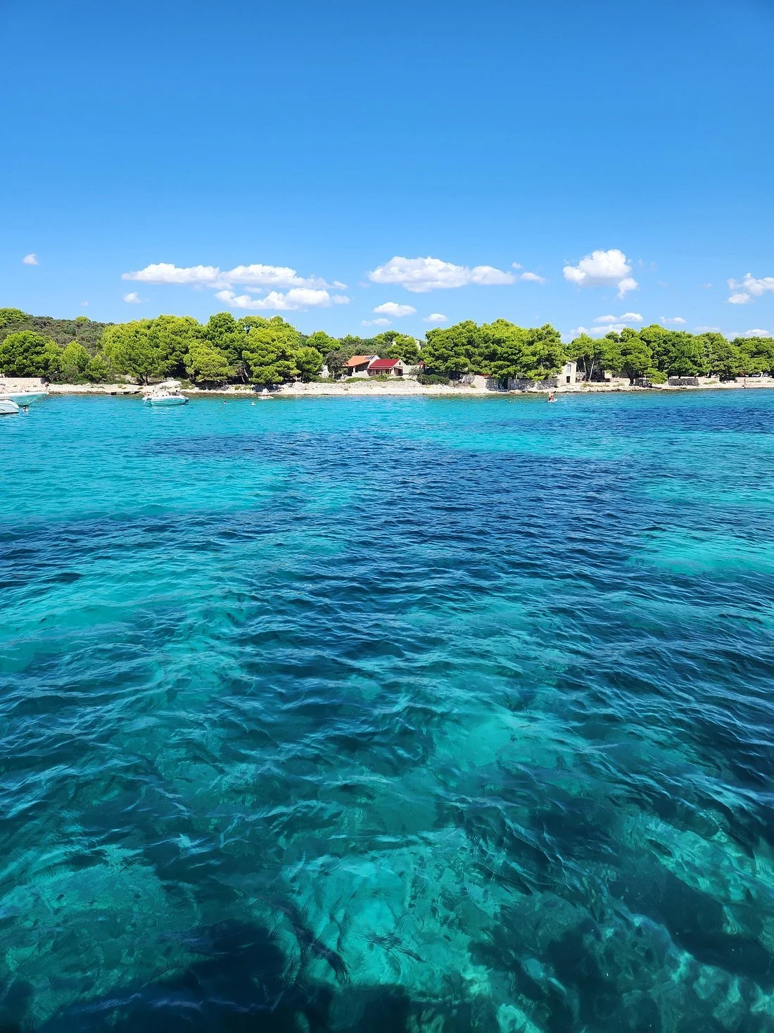 Clear blue ocean water with a view of a tree-lined shoreline and houses under a blue sky with fluffy white clouds.