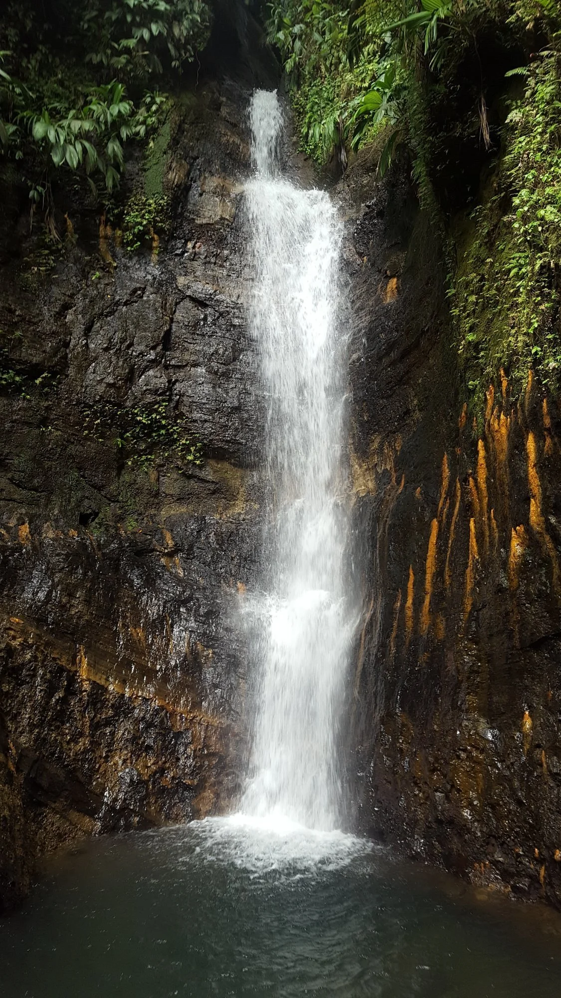 A narrow waterfall cascading down dark rocky cliffs surrounded by lush green vegetation in a rainforest.