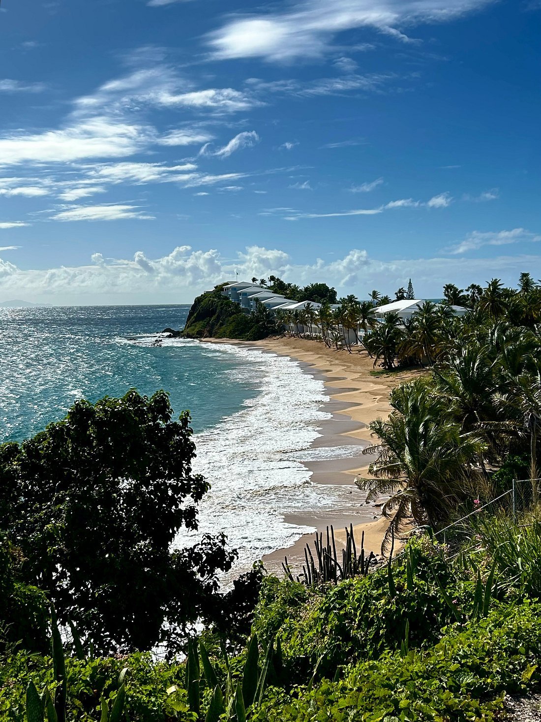 A tropical beach with golden sand, palm trees, and ocean waves, with blue skies and scattered clouds in the background.