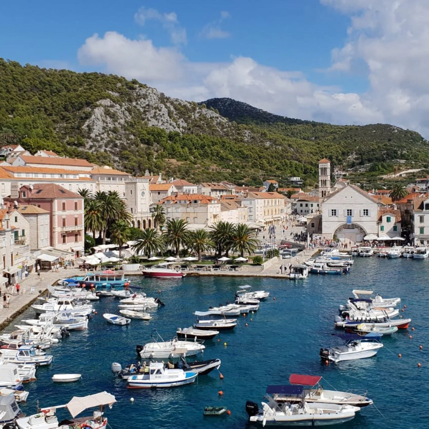 Boats docked in a harbor with a seaside town, palm trees, historic buildings, and green mountains in the background.