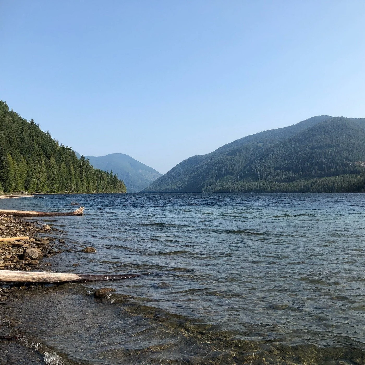 A scenic view of a lake surrounded by forested mountains under a clear blue sky.