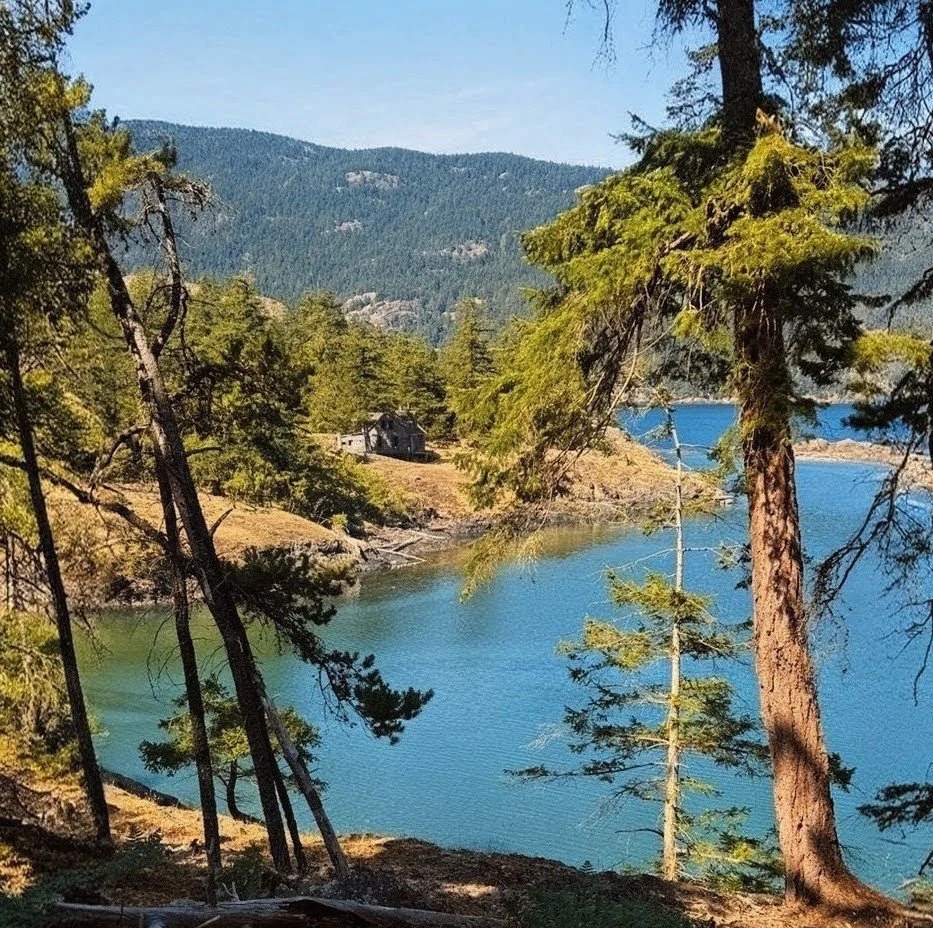 A scenic view of a lake surrounded by green pine trees and mountains in the background.