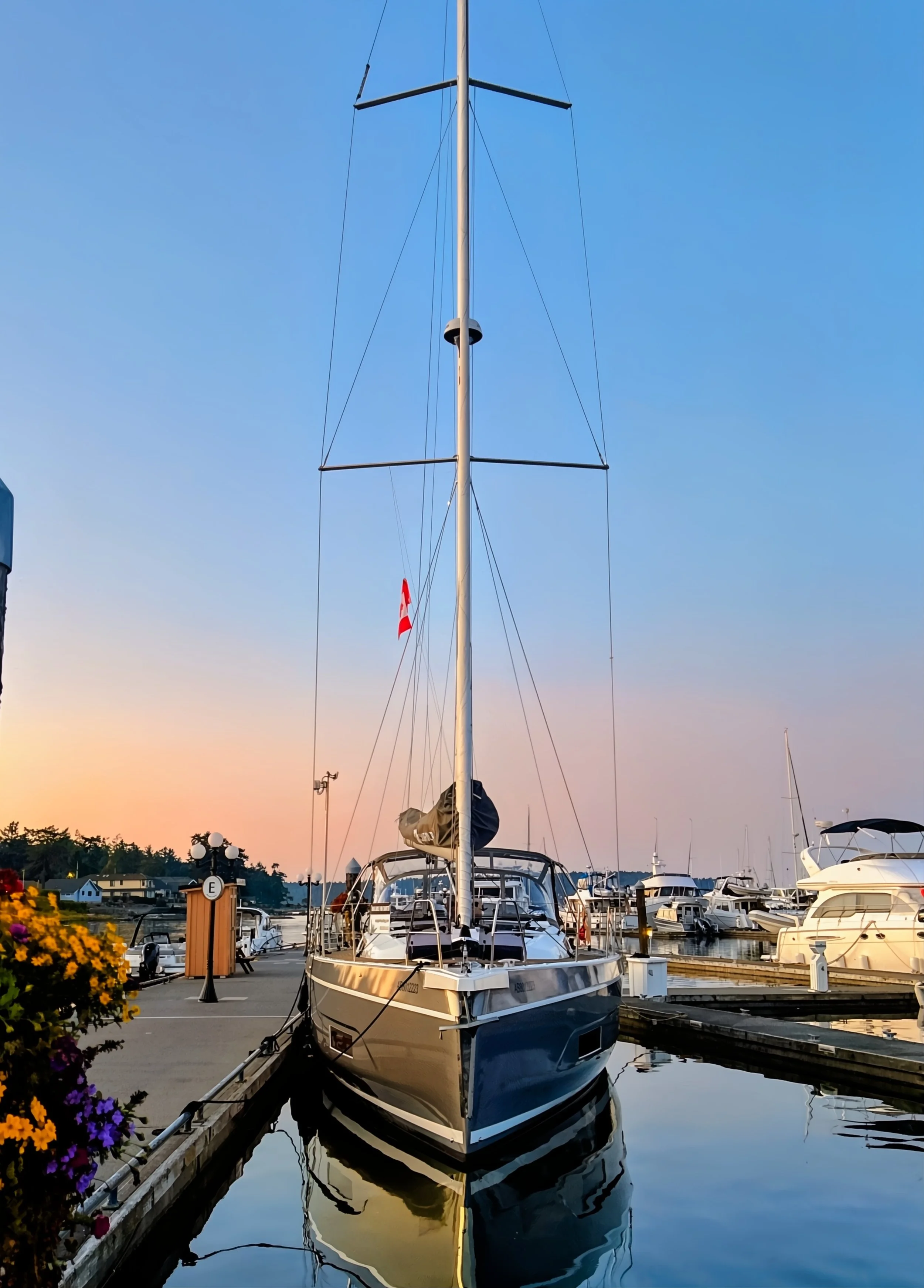 A sailboat docked at a marina during sunset with other boats in the background and colorful flowers in the foreground.
