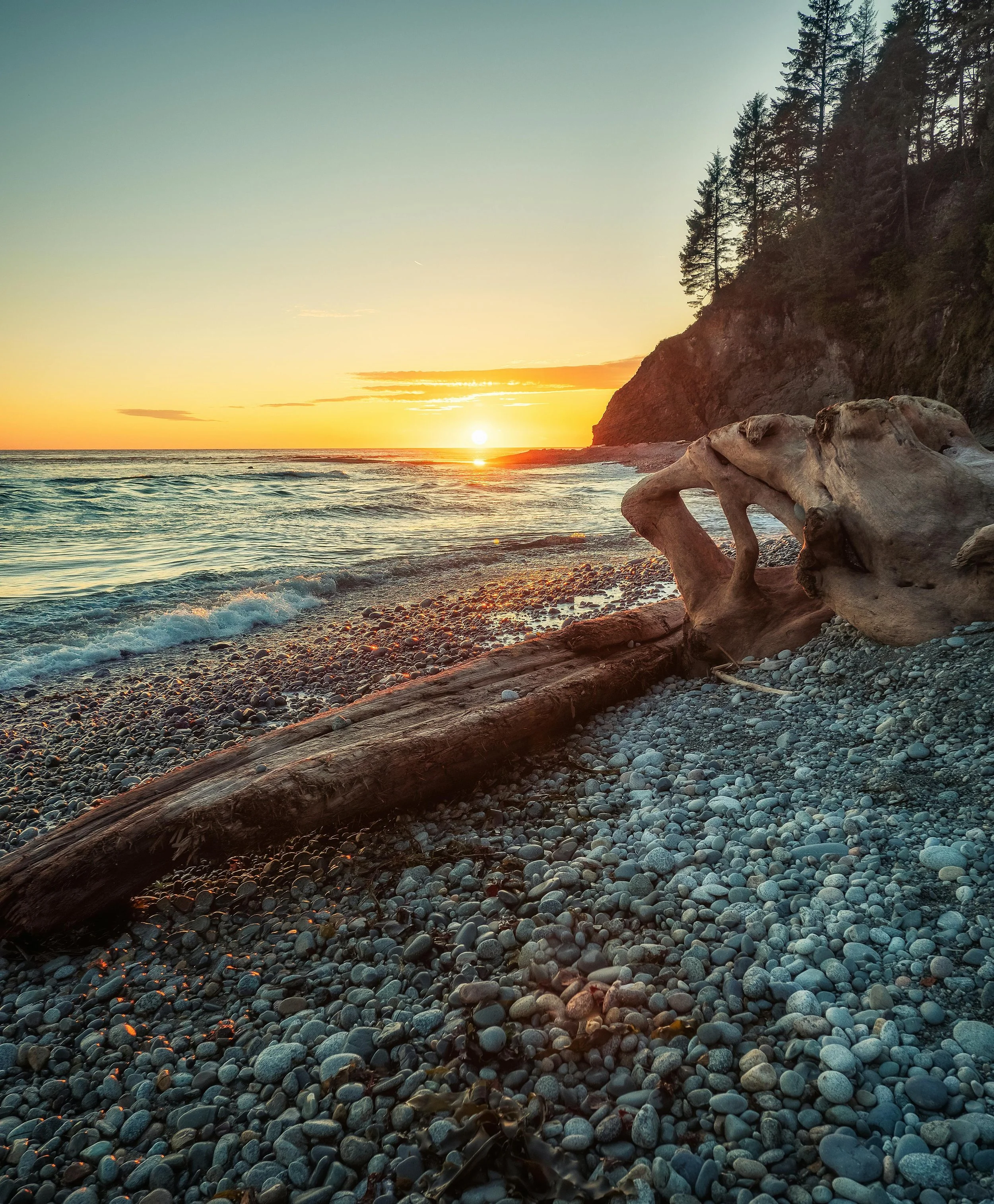 A rocky beach with driftwood, a hillside covered with trees, and a setting sun on the horizon.