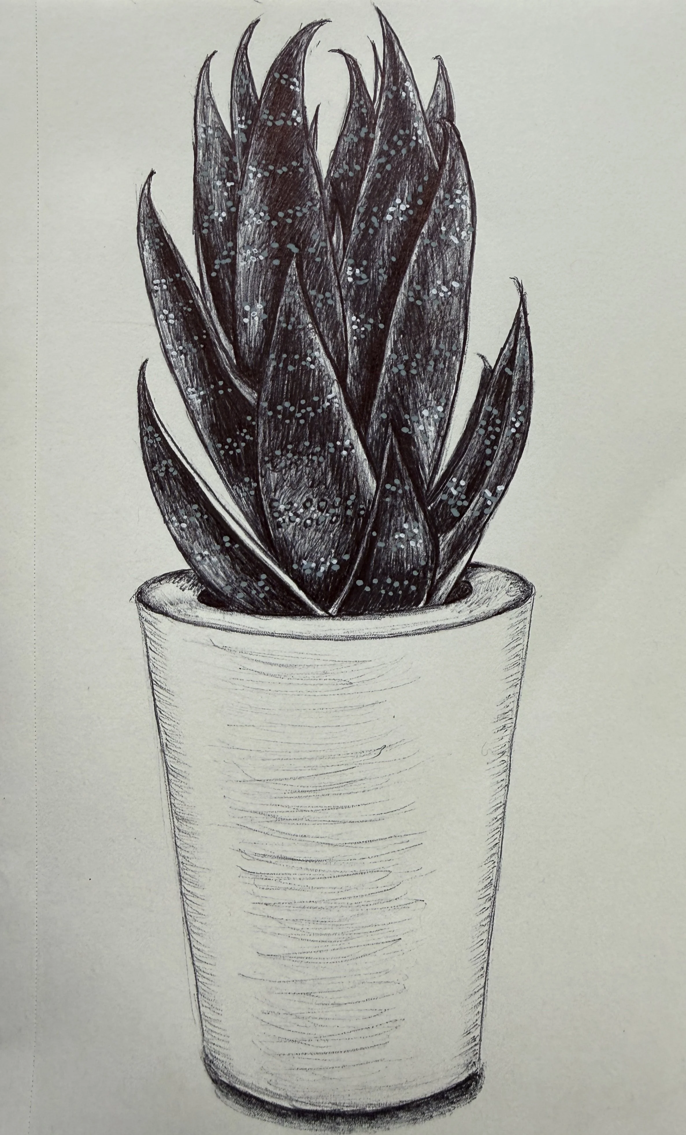 Snake Plant
Ink
8.5"x5.5"
2025