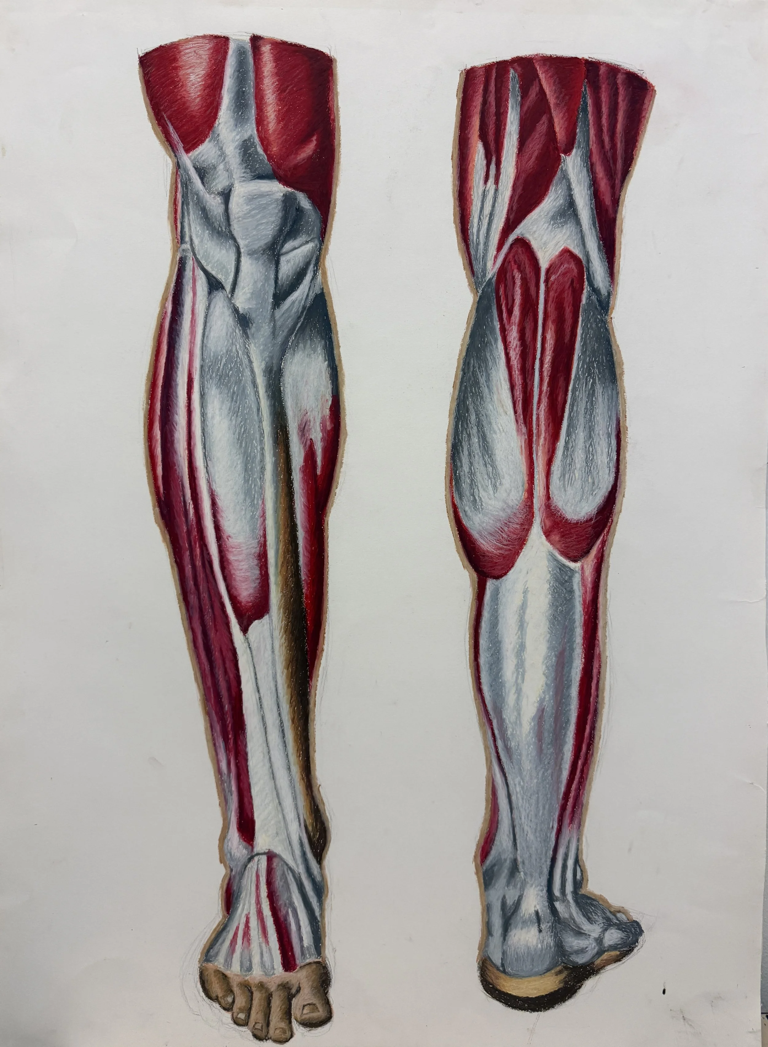 What's Inside 
Oil pastel
20"x33"
2022