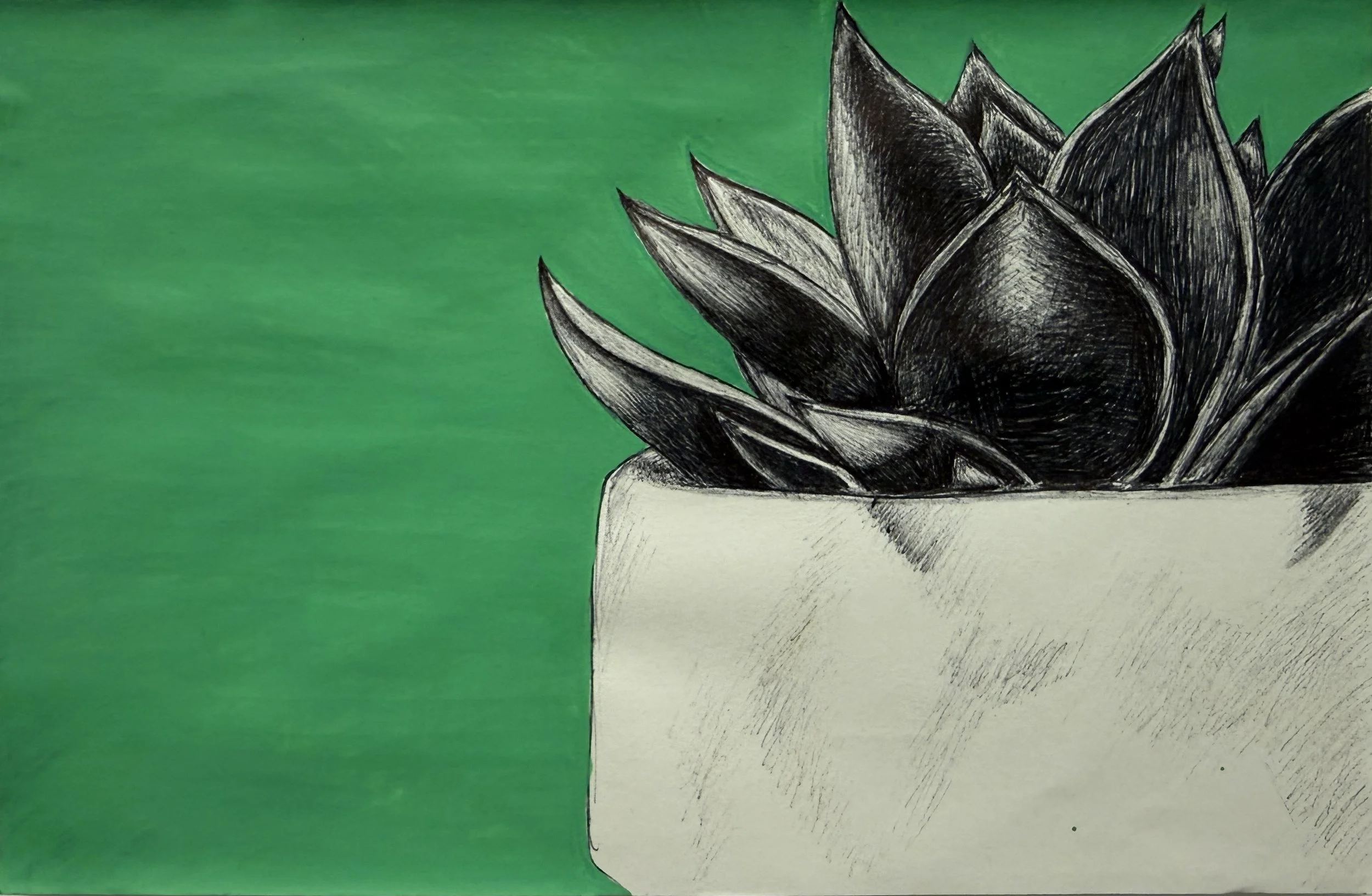 Sharp
Ink and acrylic marker
5.5"x8.5"
2025