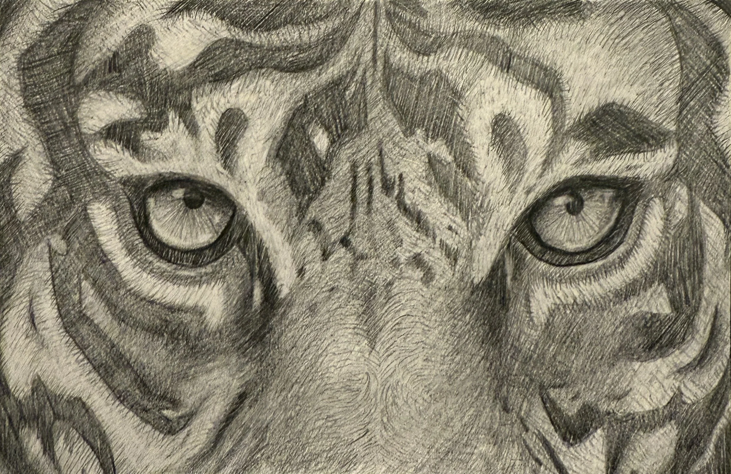 The Beginning of It All
Graphite
4"x8"
2025