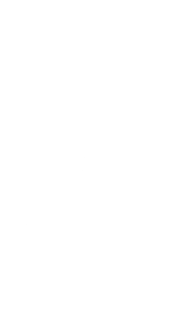Vertical black background with the word 'NOIR' written in large white stylized letters.