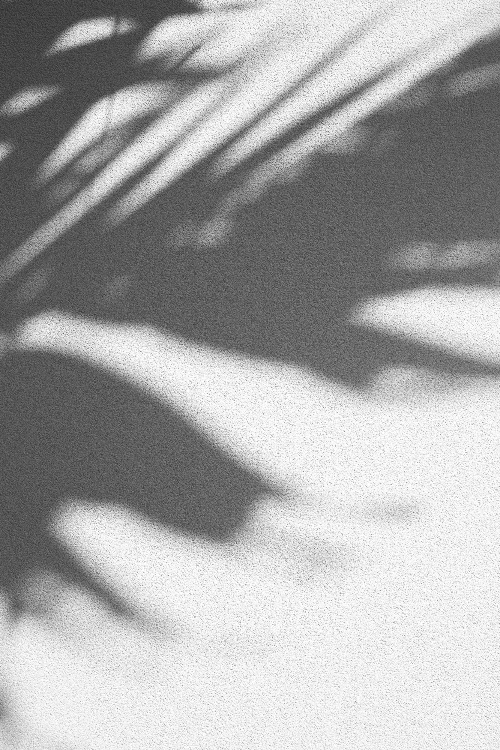 Black and white shadow of a plant on a textured wall or surface.