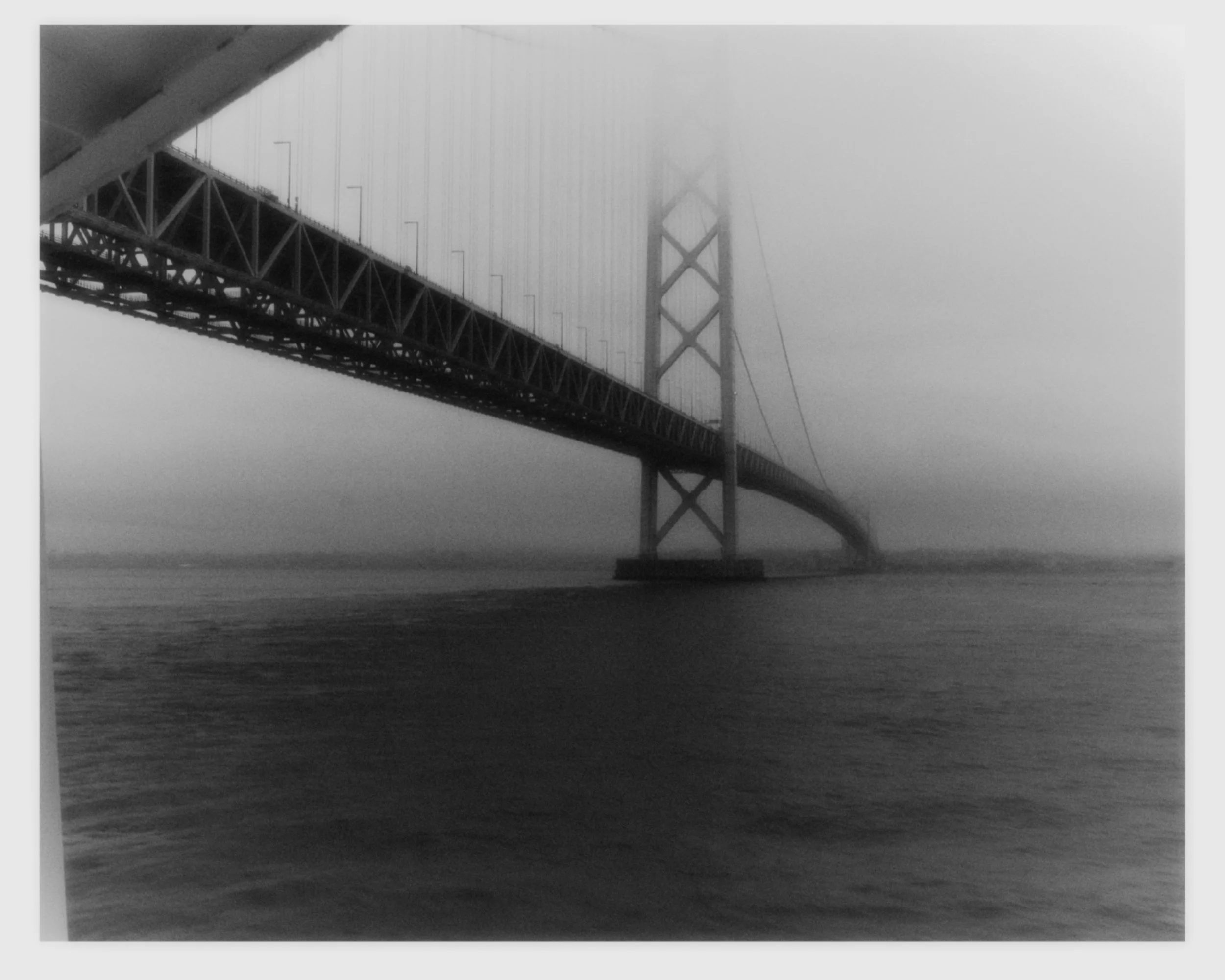 Bernie first round 3.jpg