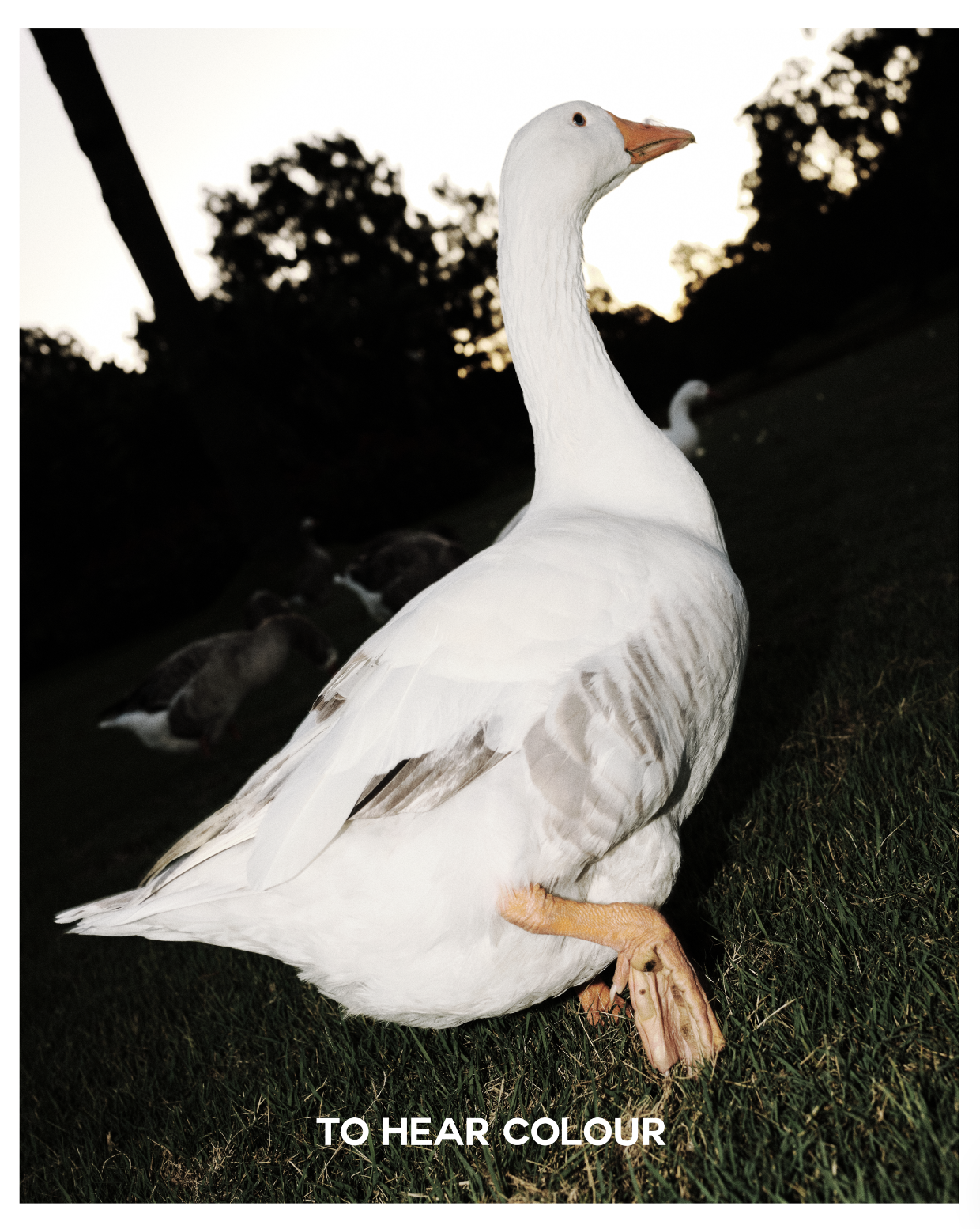 Screenshot 2026-02-13 at 12.56.18 pm.png