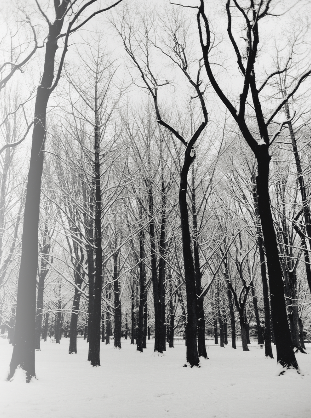 Screenshot 2026-02-09 at 10.07.51 am.png