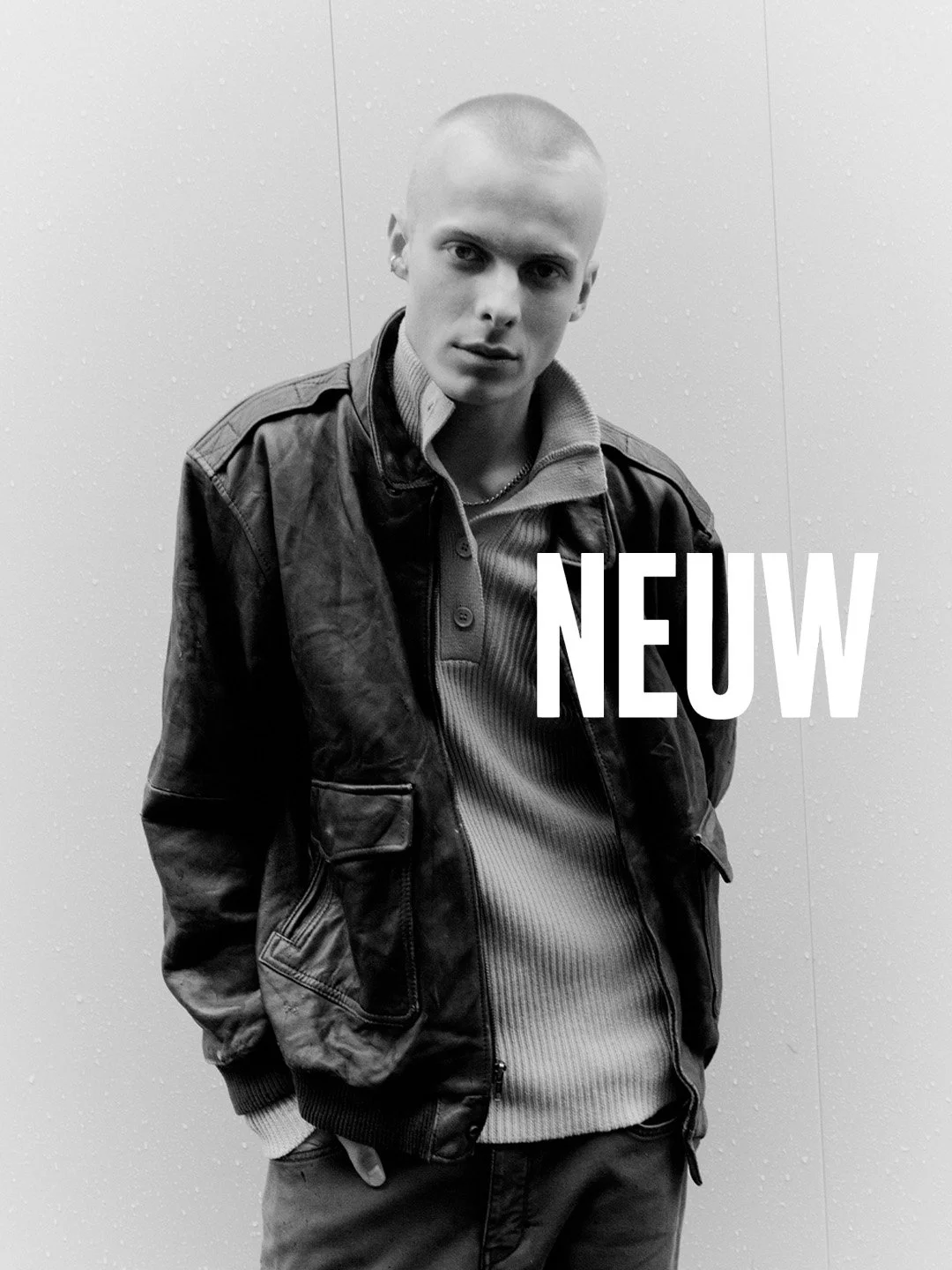 rfegtbg.jpg