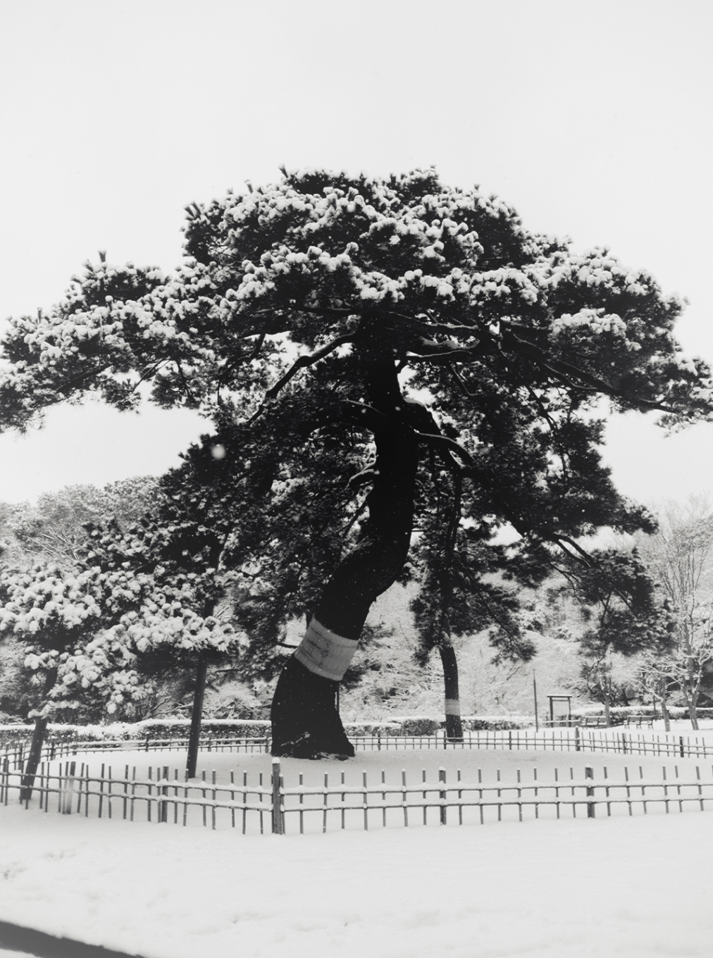 Screenshot 2026-02-09 at 10.49.03 am.png