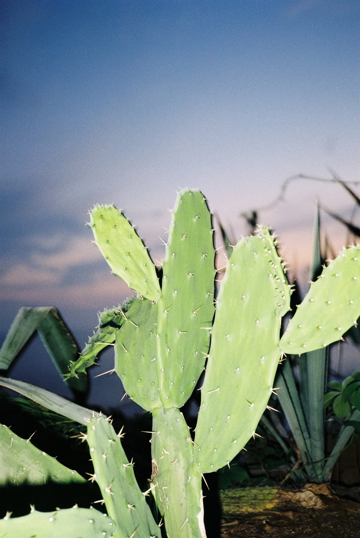 A017938-R7-18-20 2.JPG