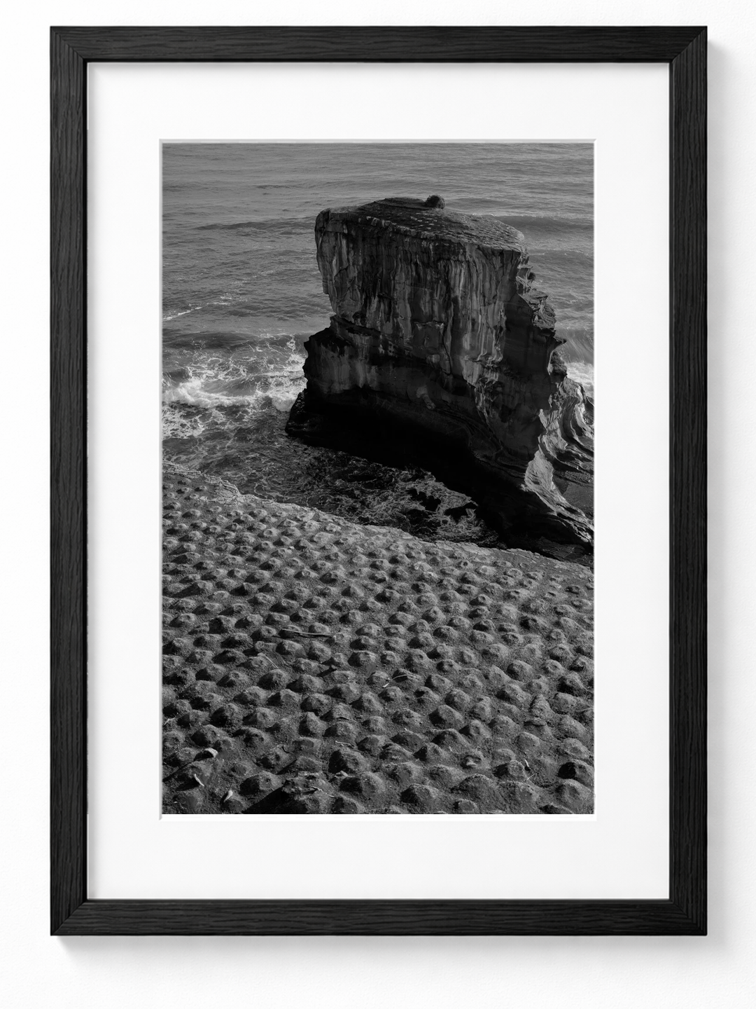 Muriwai, New Zealand