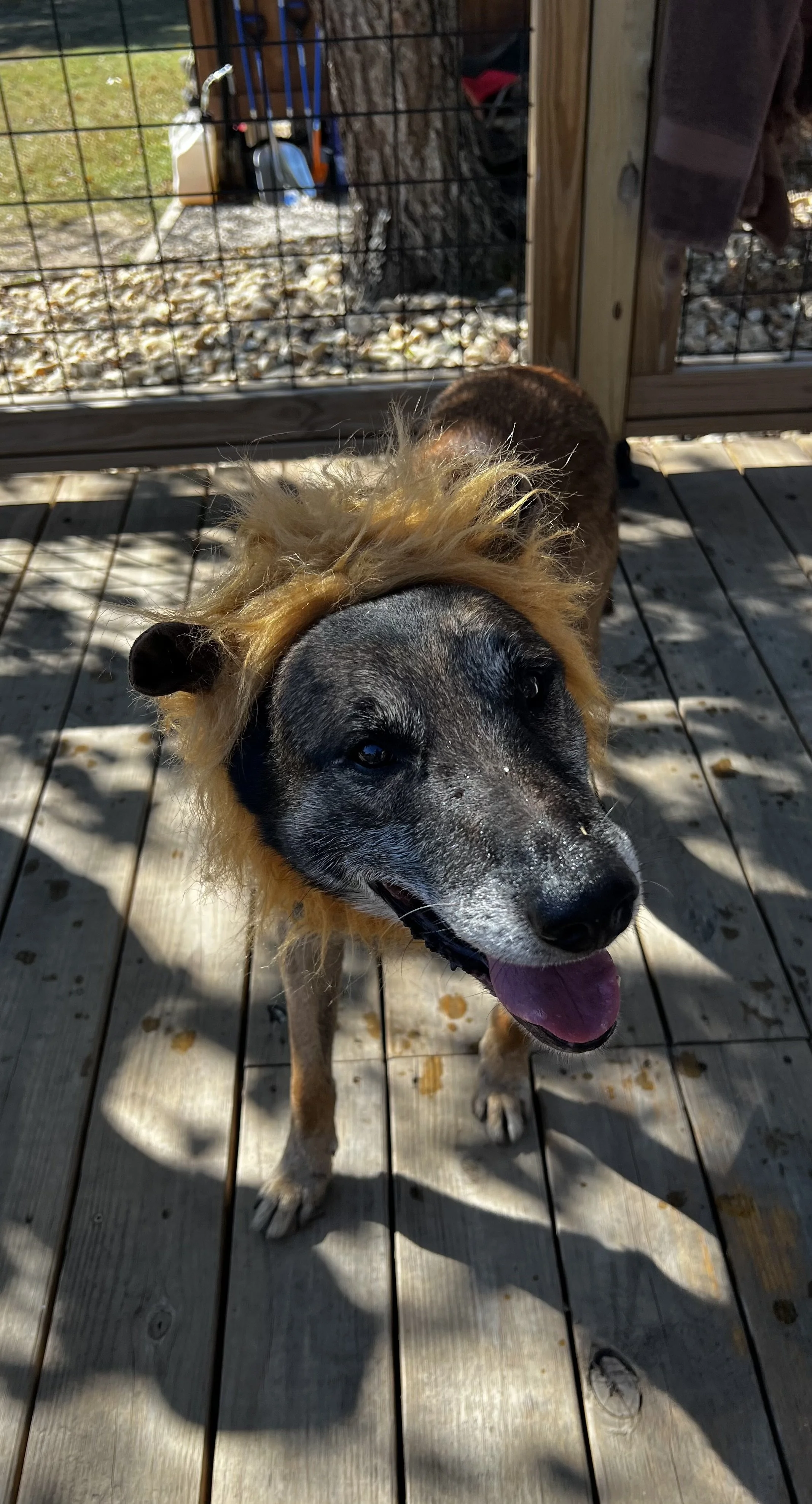 FullSizeRender (1).jpg