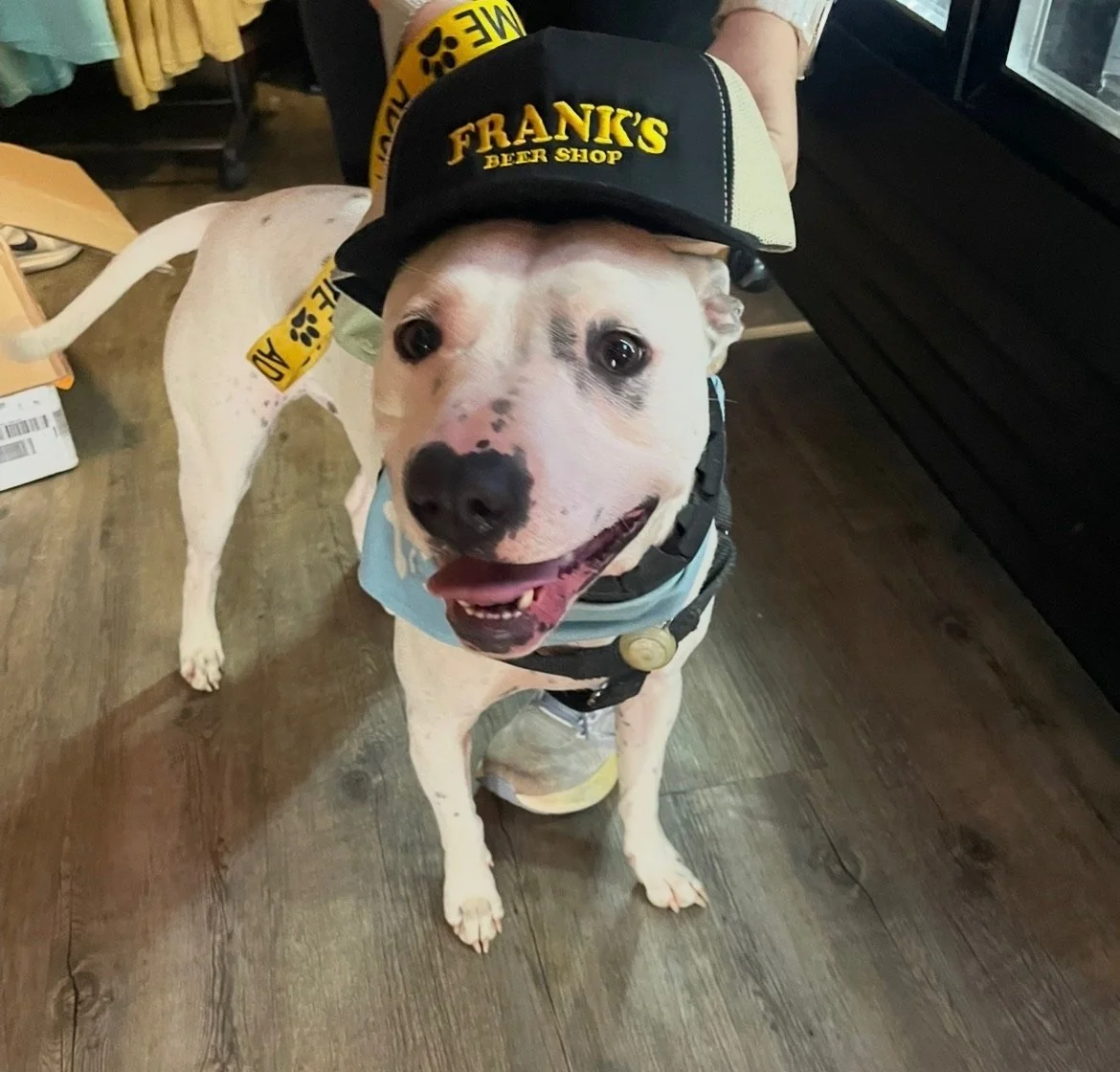 Archie