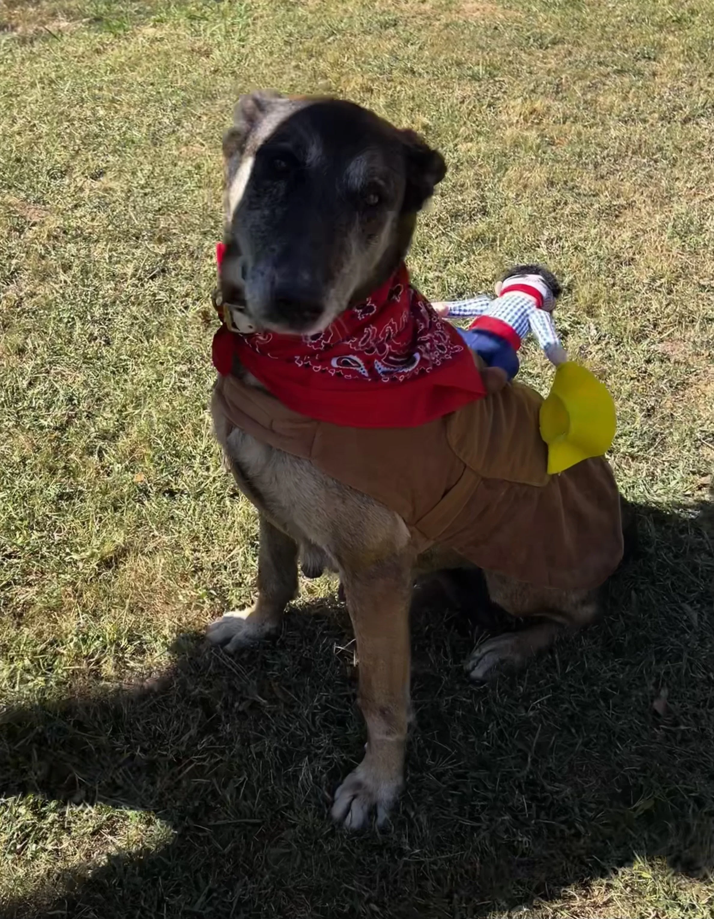 FullSizeRender (2).jpg