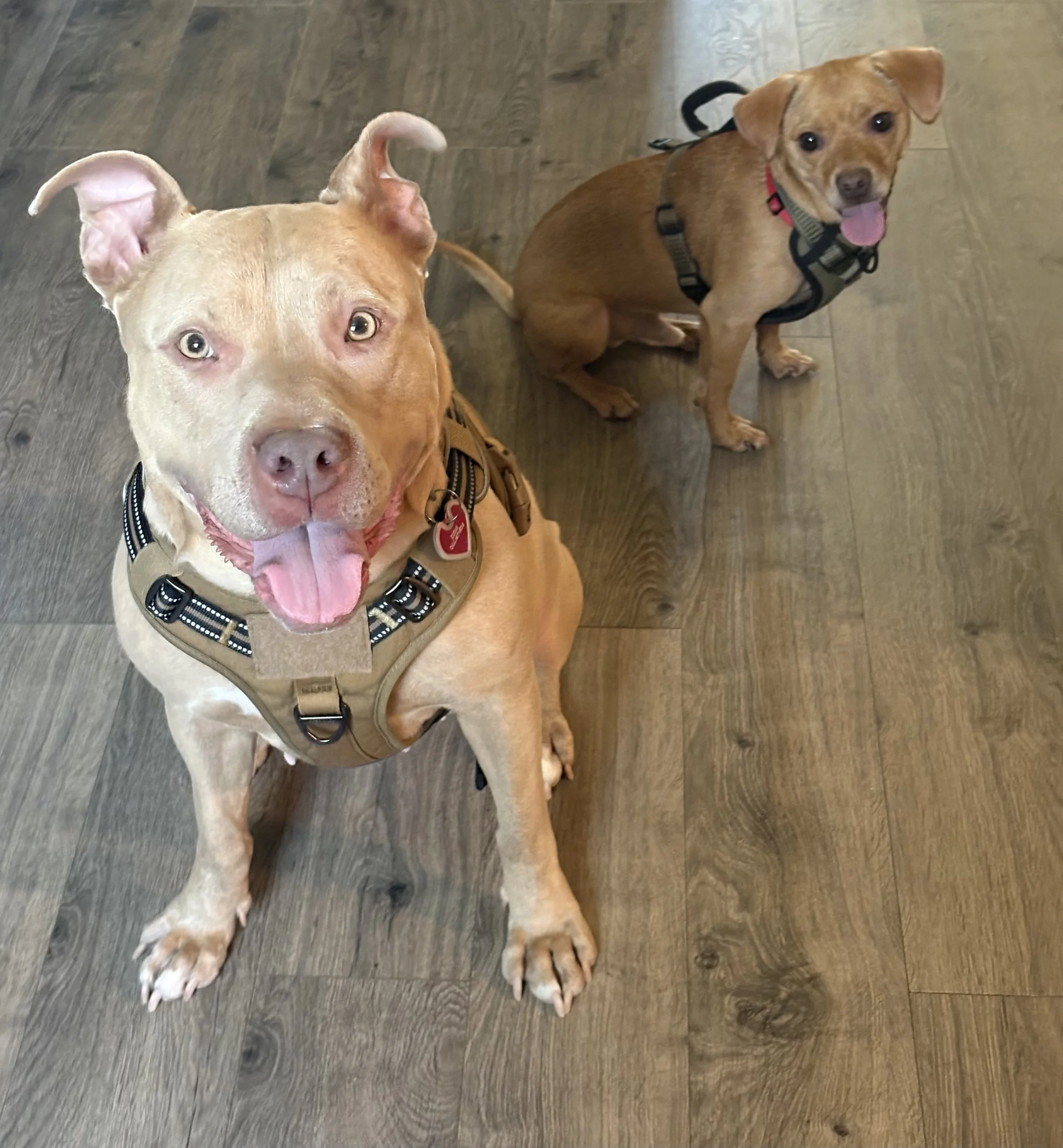 FullSizeRender (2).jpg