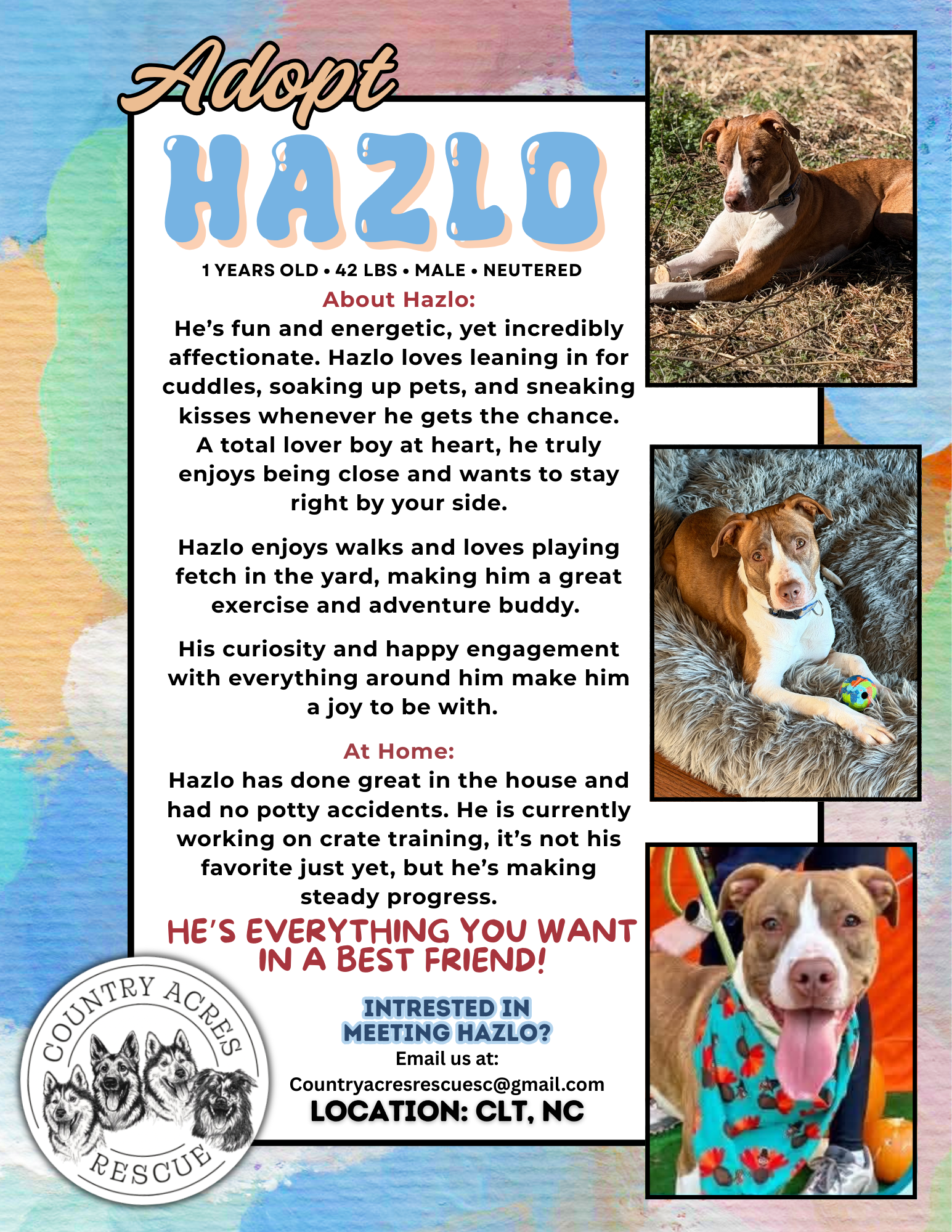 CA ADOPTION FLYERS.PNG.png