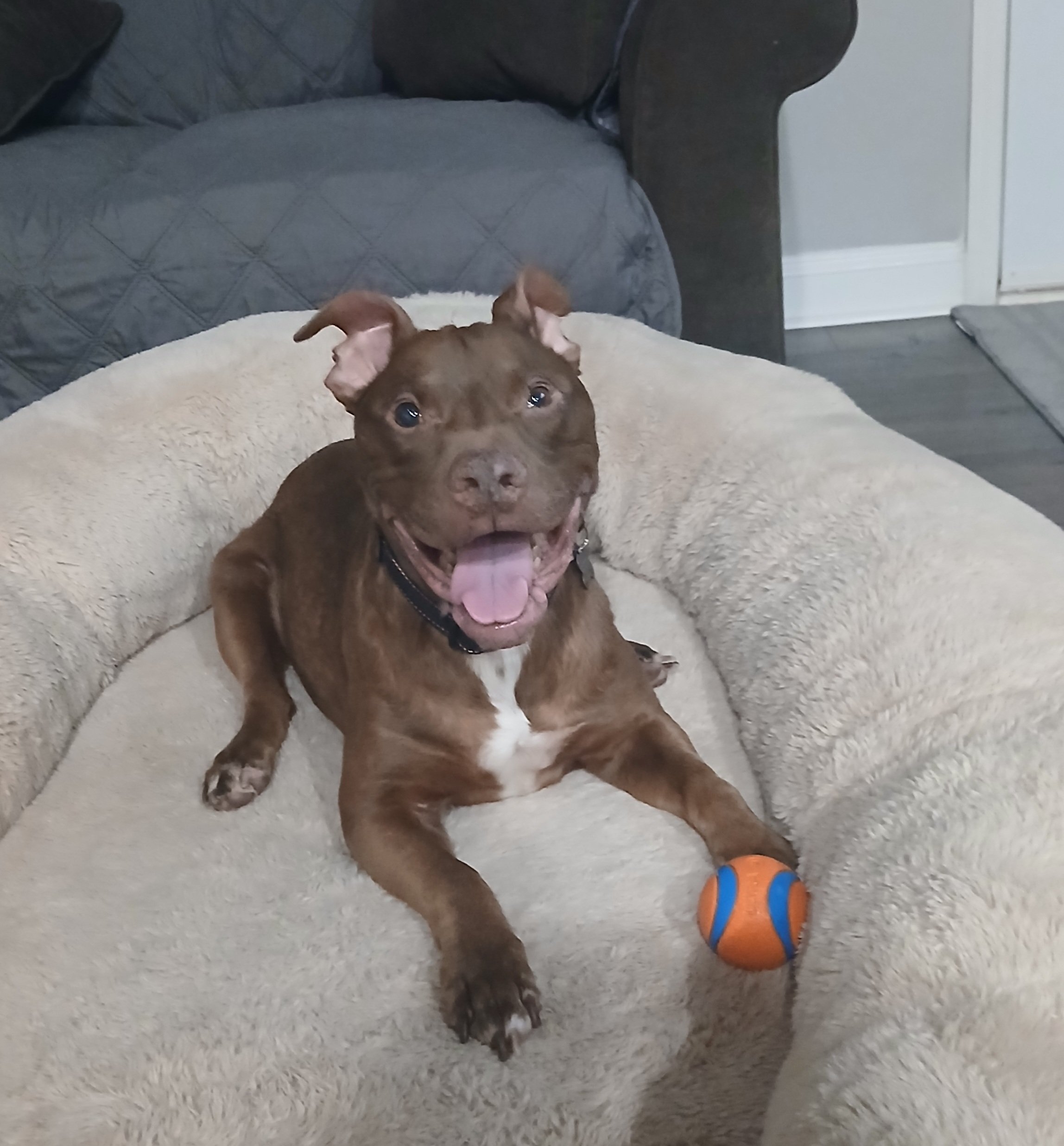 Zeus
