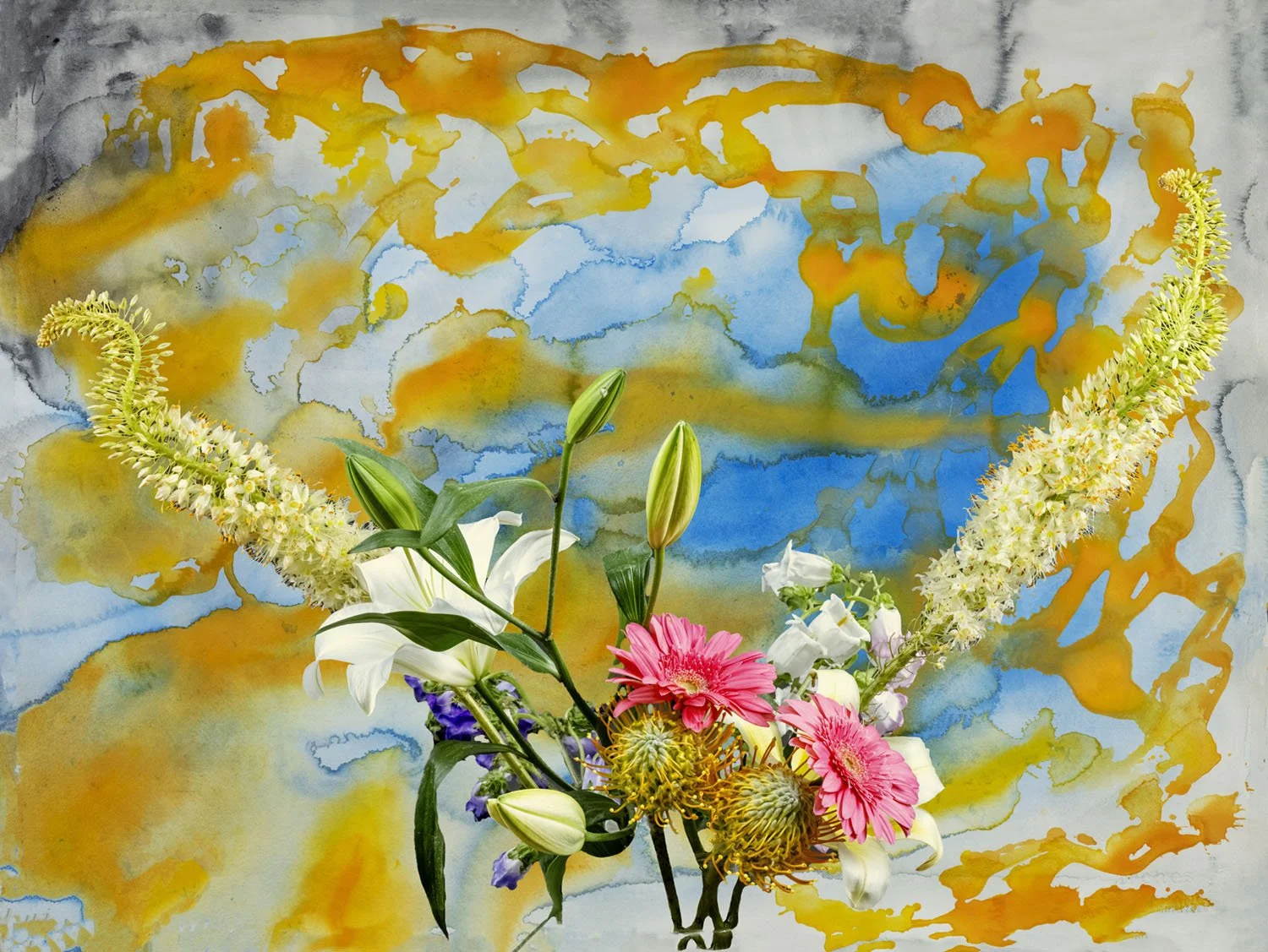 P0011609_background_122224 copy.jpg