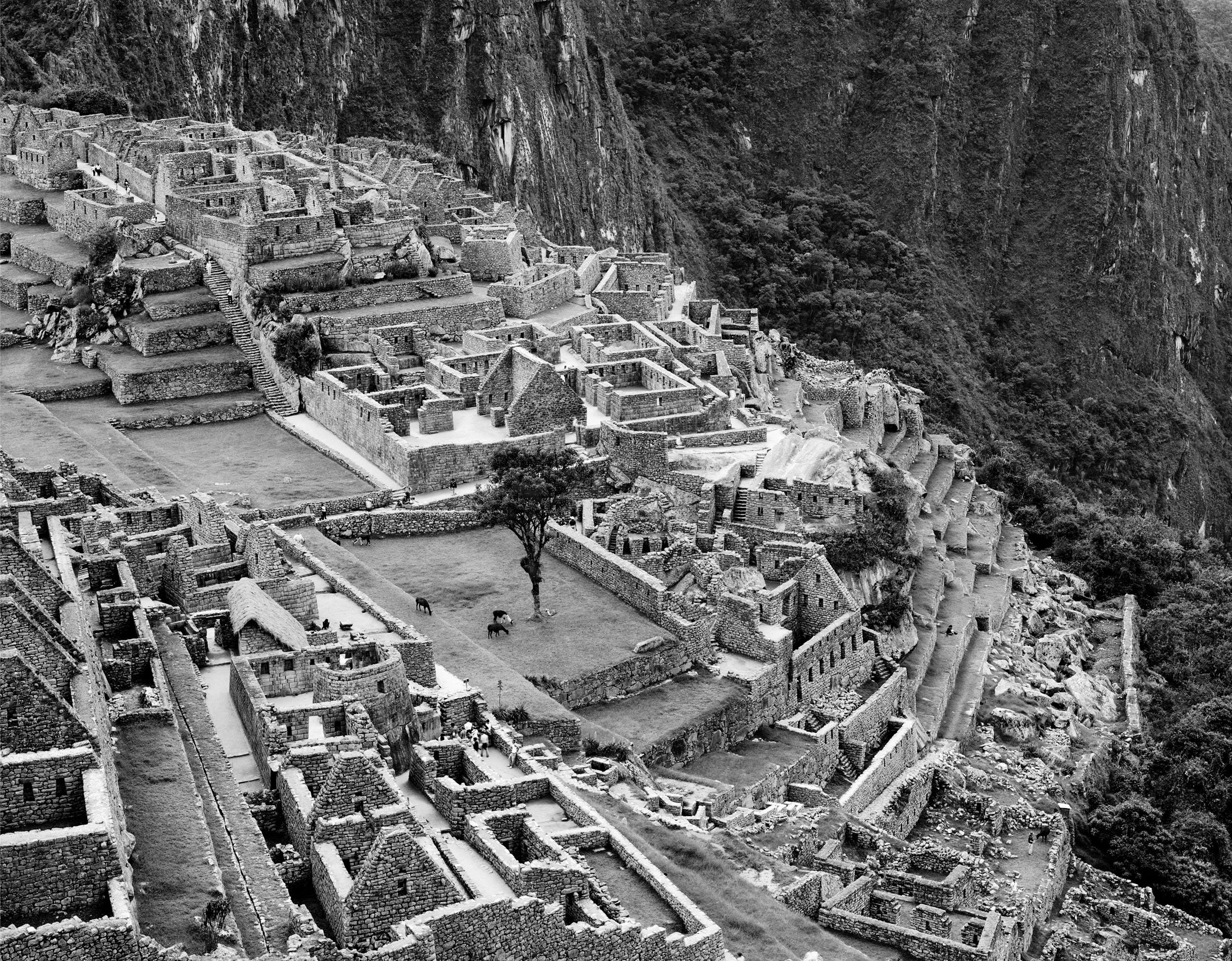 MP-1-Print-30x40 copy.jpg