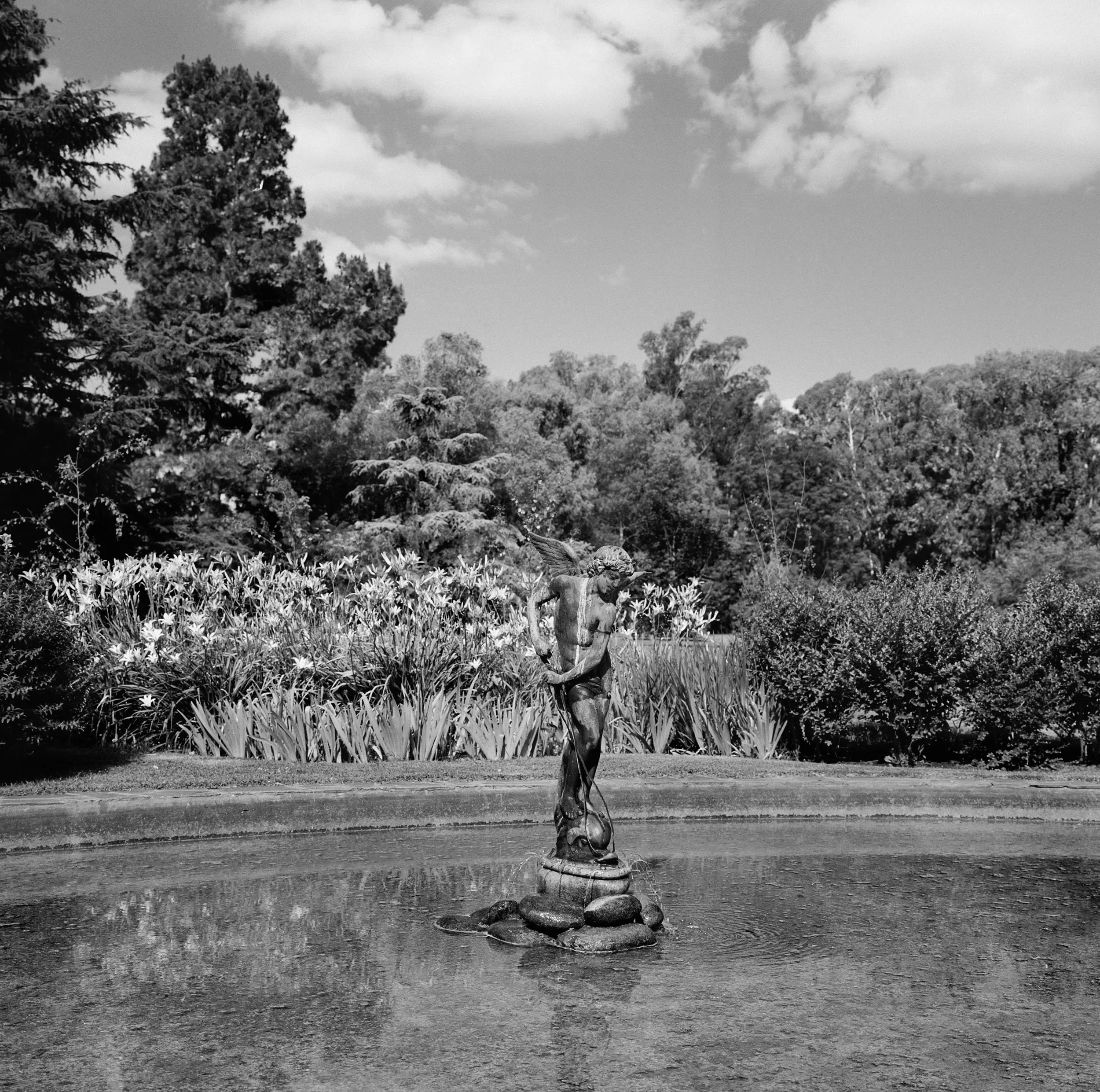 31-PrintFinalFlat copy.jpg